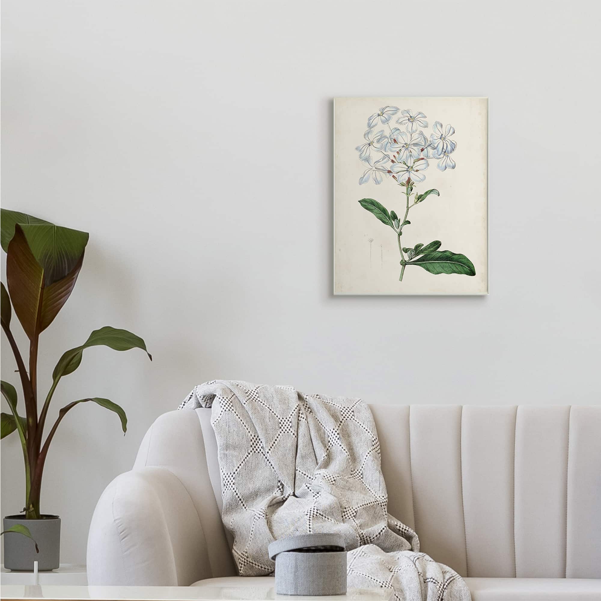 Stupell Industries Rustic Garden Floral Study Charming White Blossoms Wall Plaque