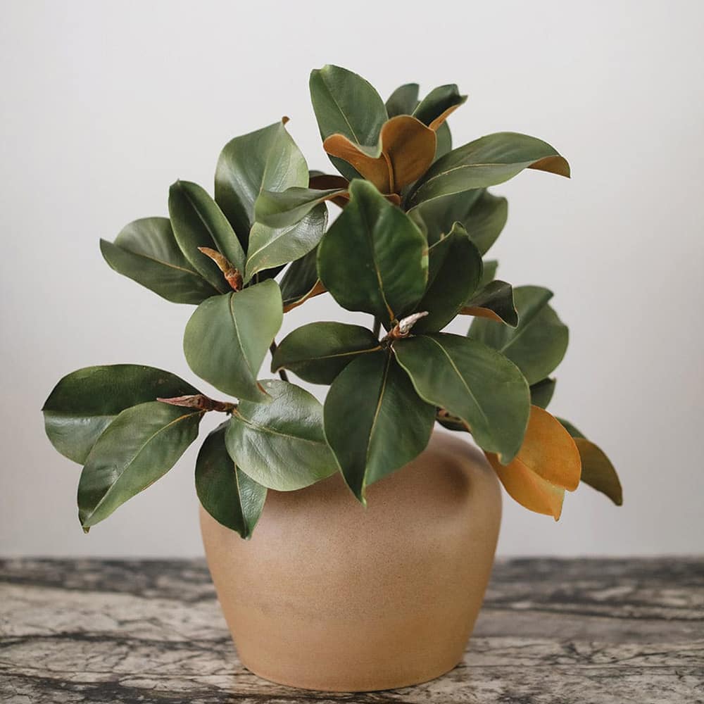 Prestige Botanicals 25" Faux Magnolia Leaf Stem