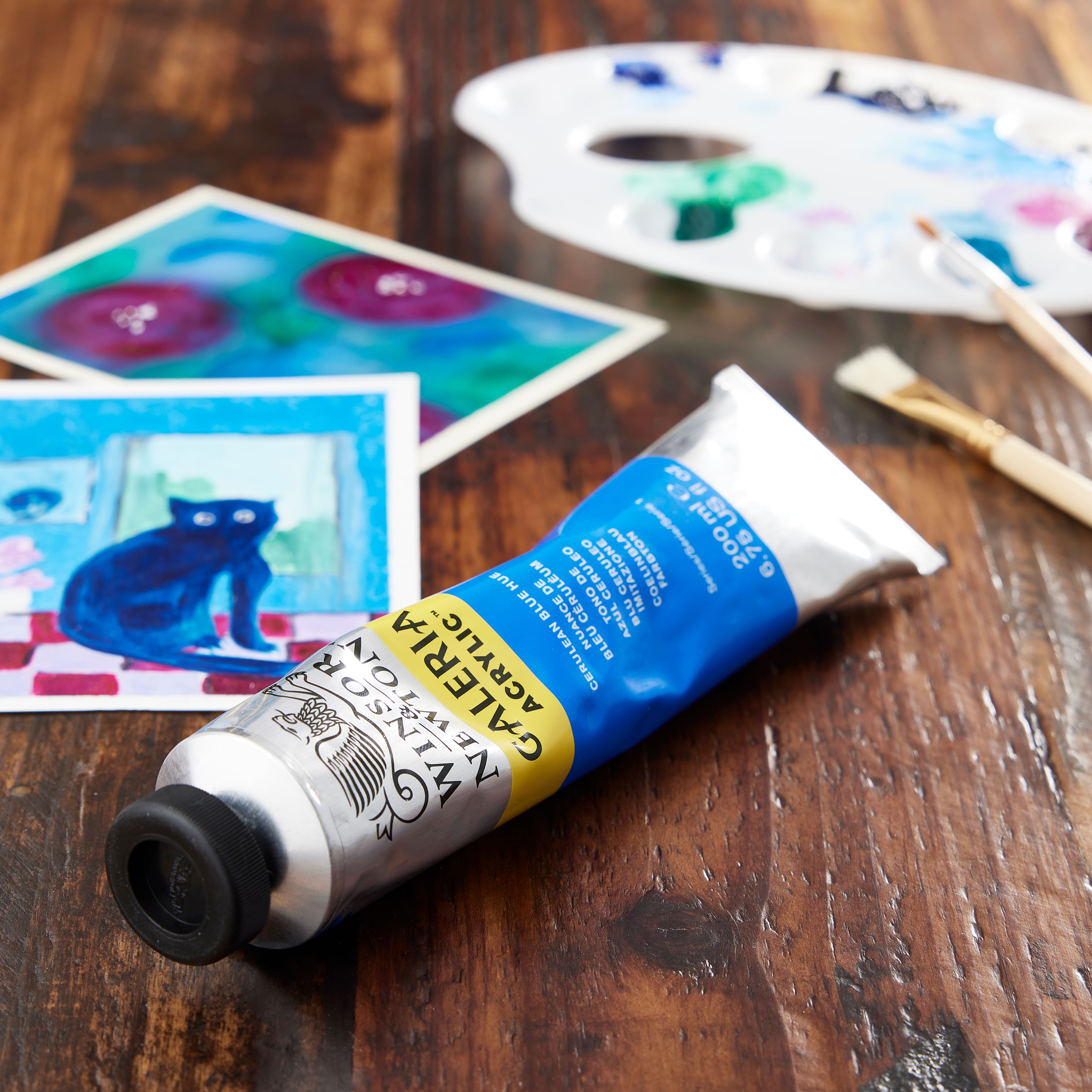 12 Pack: Winsor & Newton™ Galeria Acrylic™ Paint, 200mL