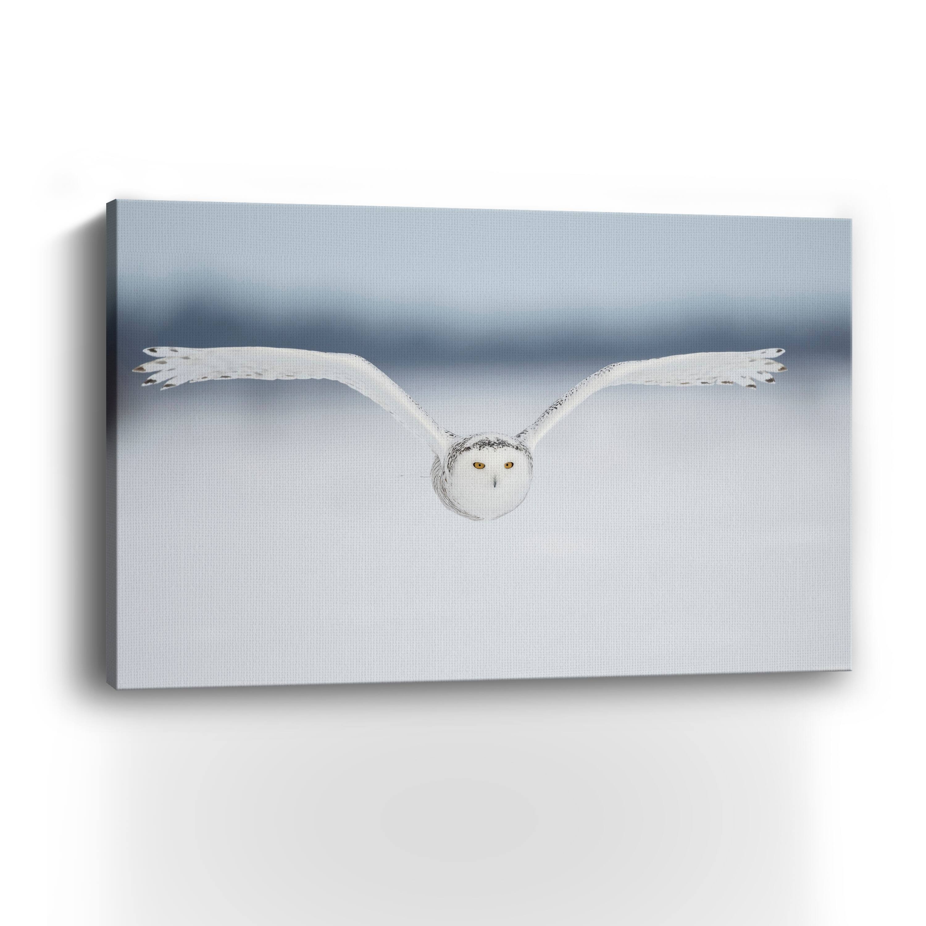 Pozzi - Close To The Lens Canvas Giclee