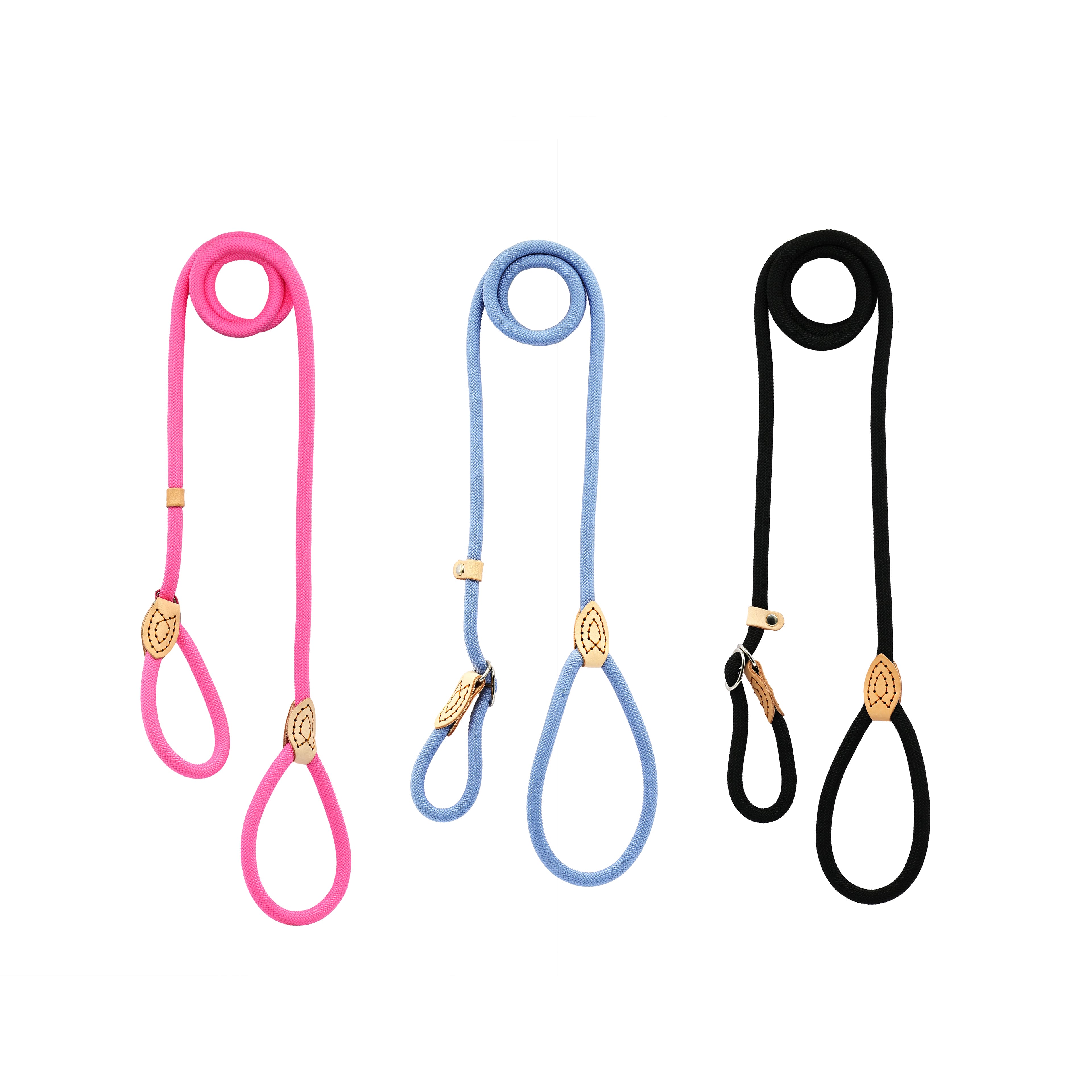 Assorted 5ft. Pet Leash, 1pc. by Fab Finds