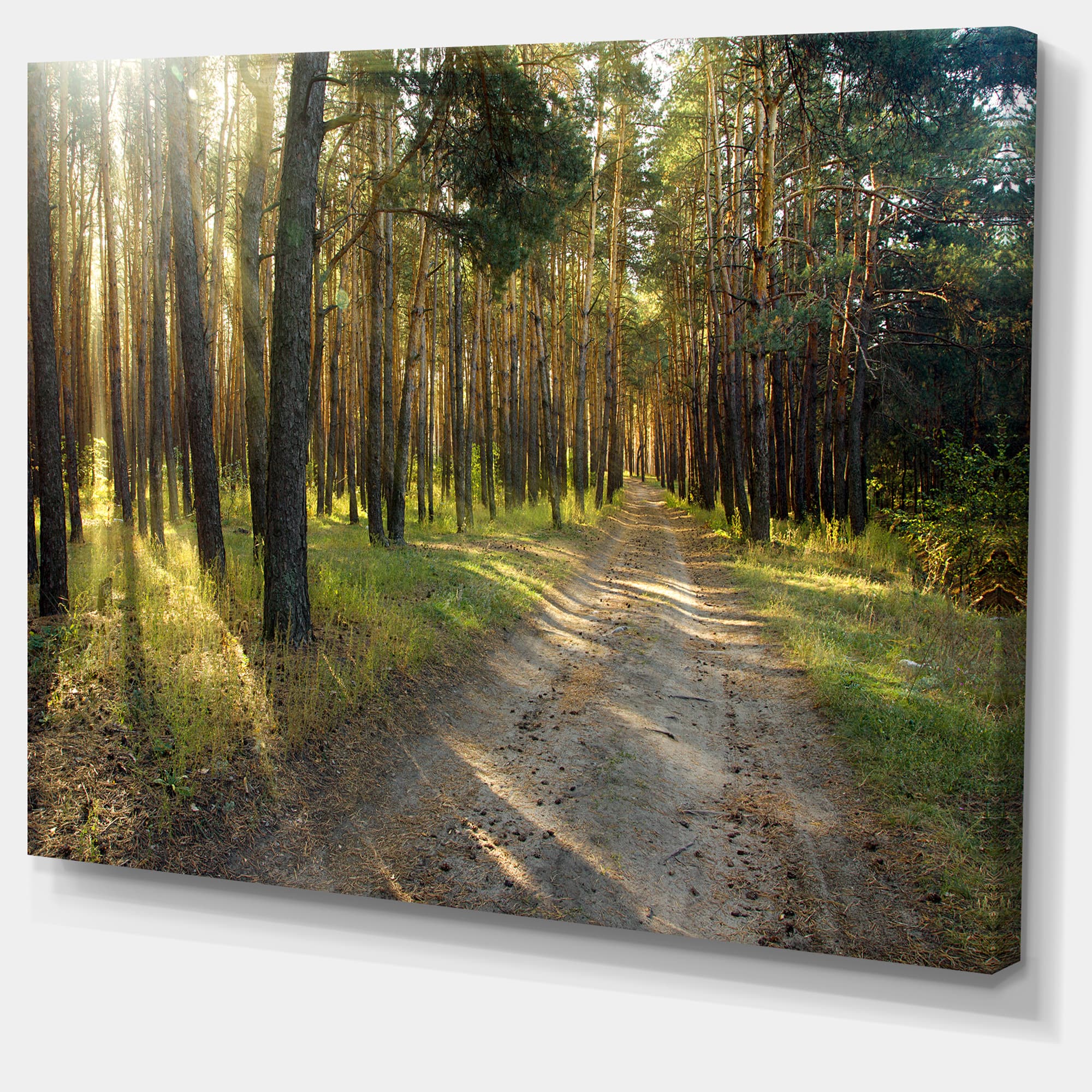 Designart - Road Through Green Pine Forest - Landscape Photography Canvas Print