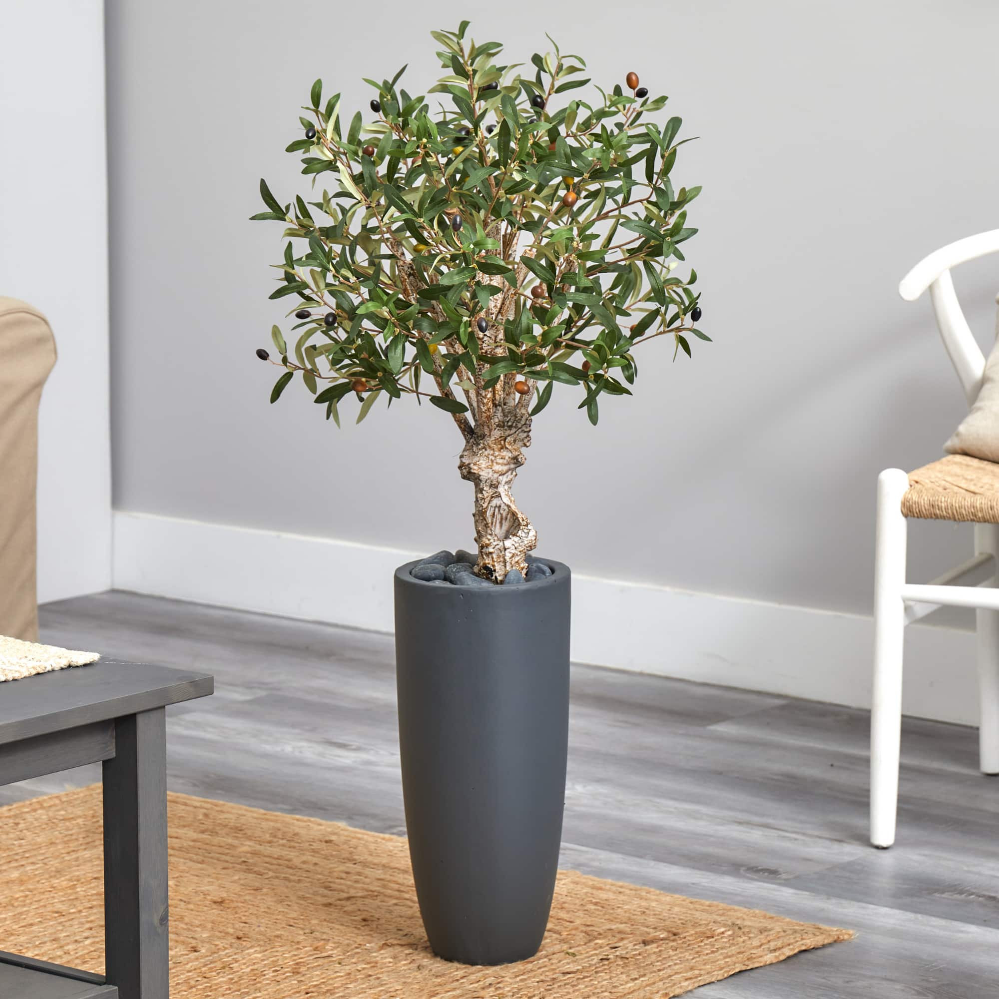 3.5ft. Olive Tree in Gray Cylinder Planter