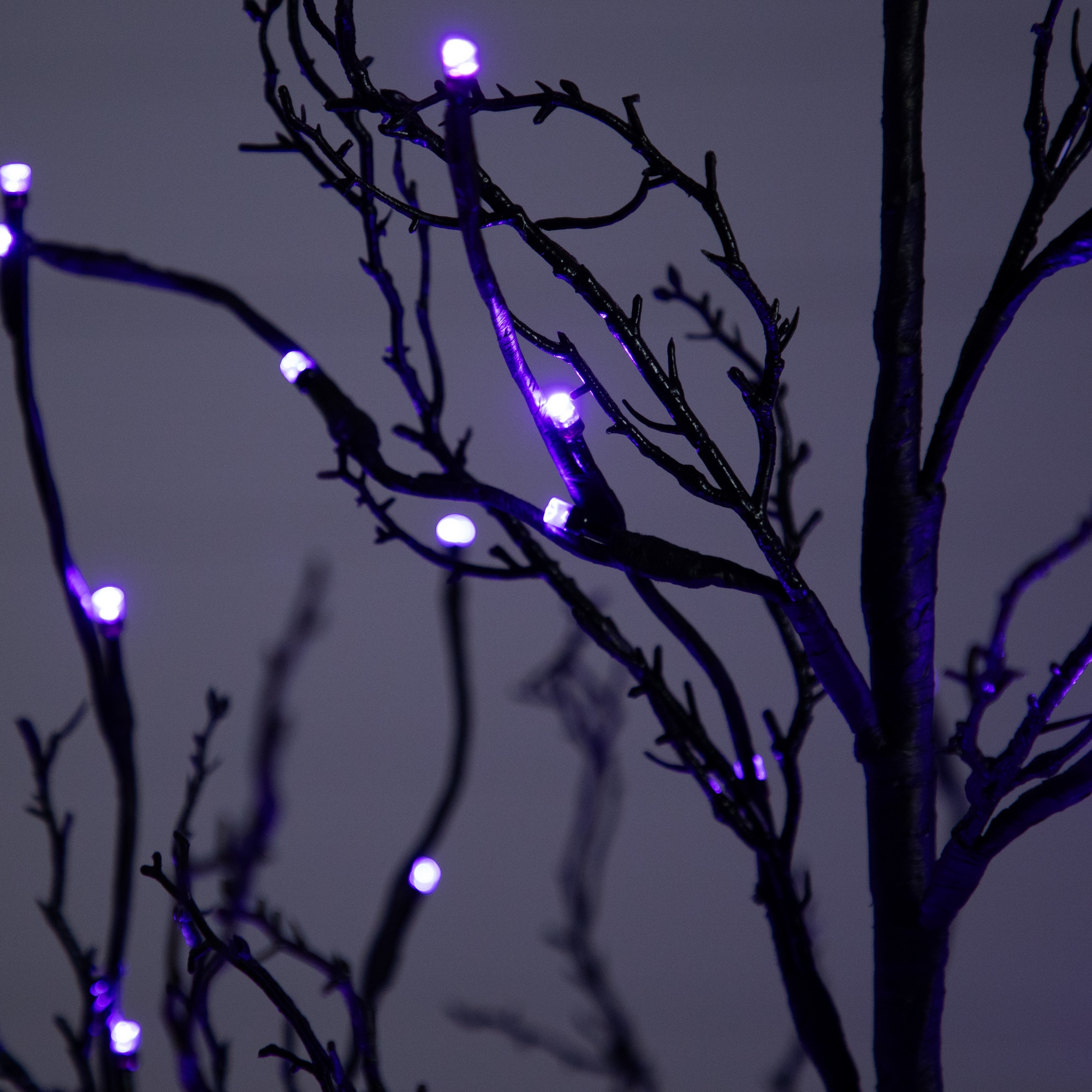 6ft. Pre-Lit LED Black Twig Artificial Halloween Tree