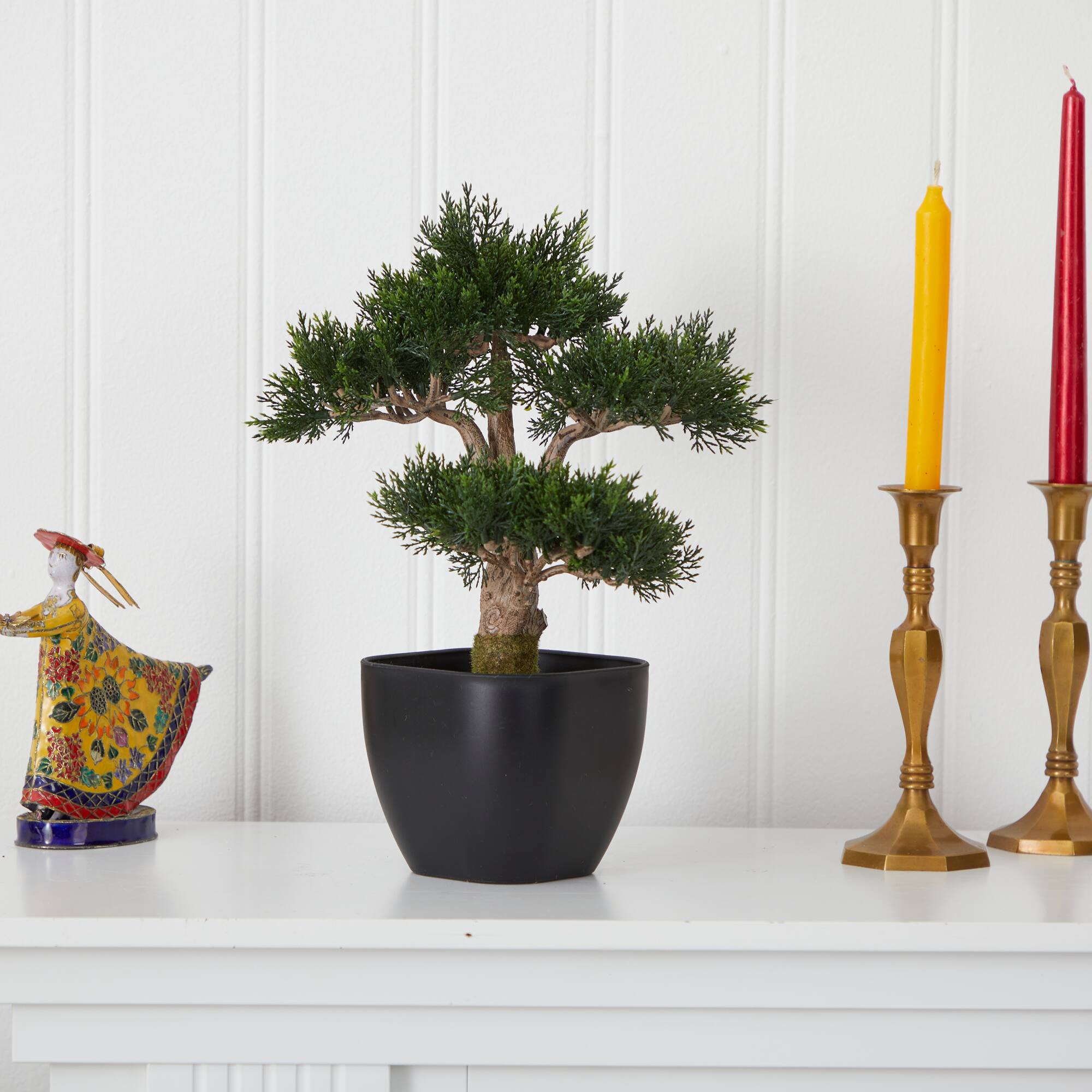 15in. Cedar Bonsai with Black Square Planter
