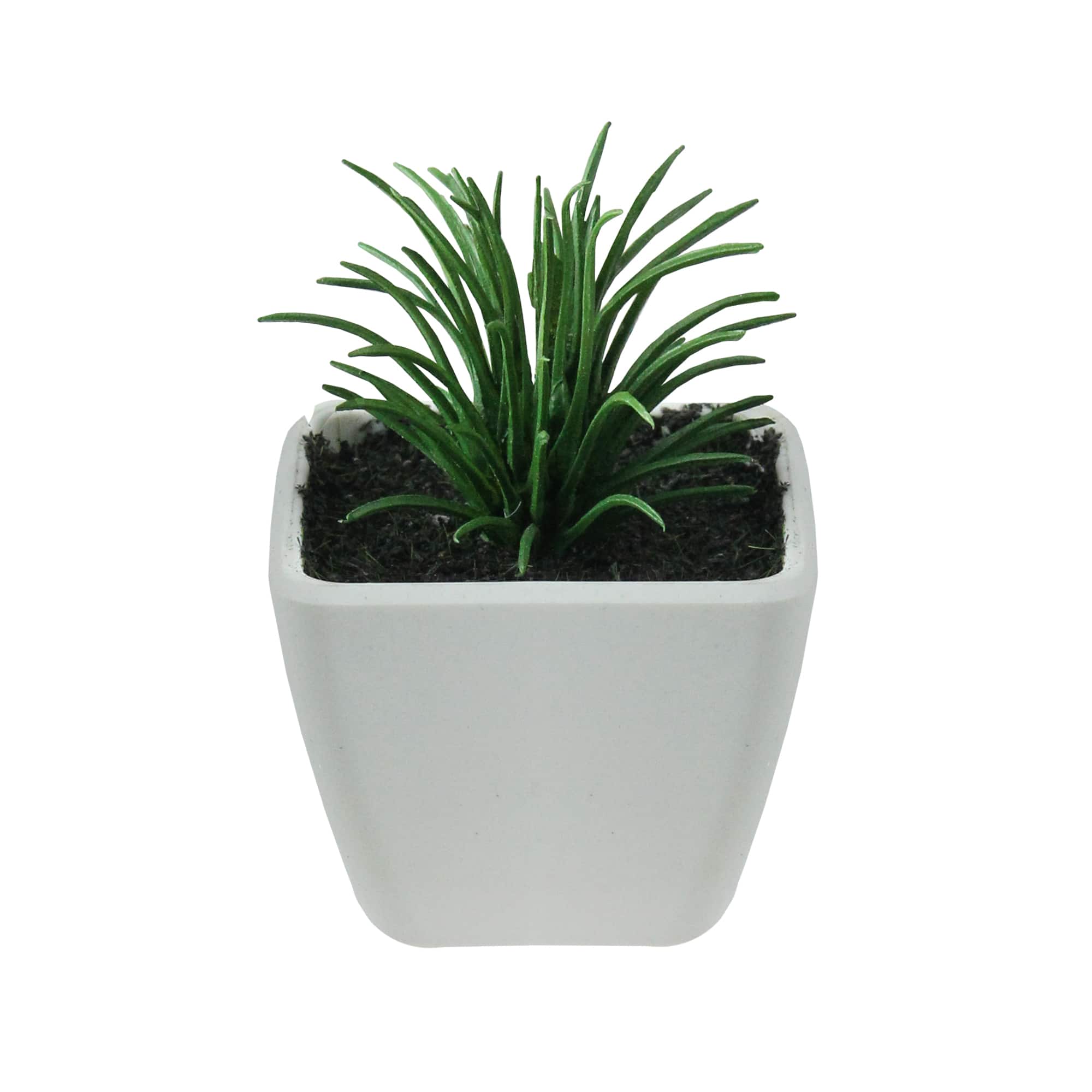 3.5" Mini Green Succulent Planter