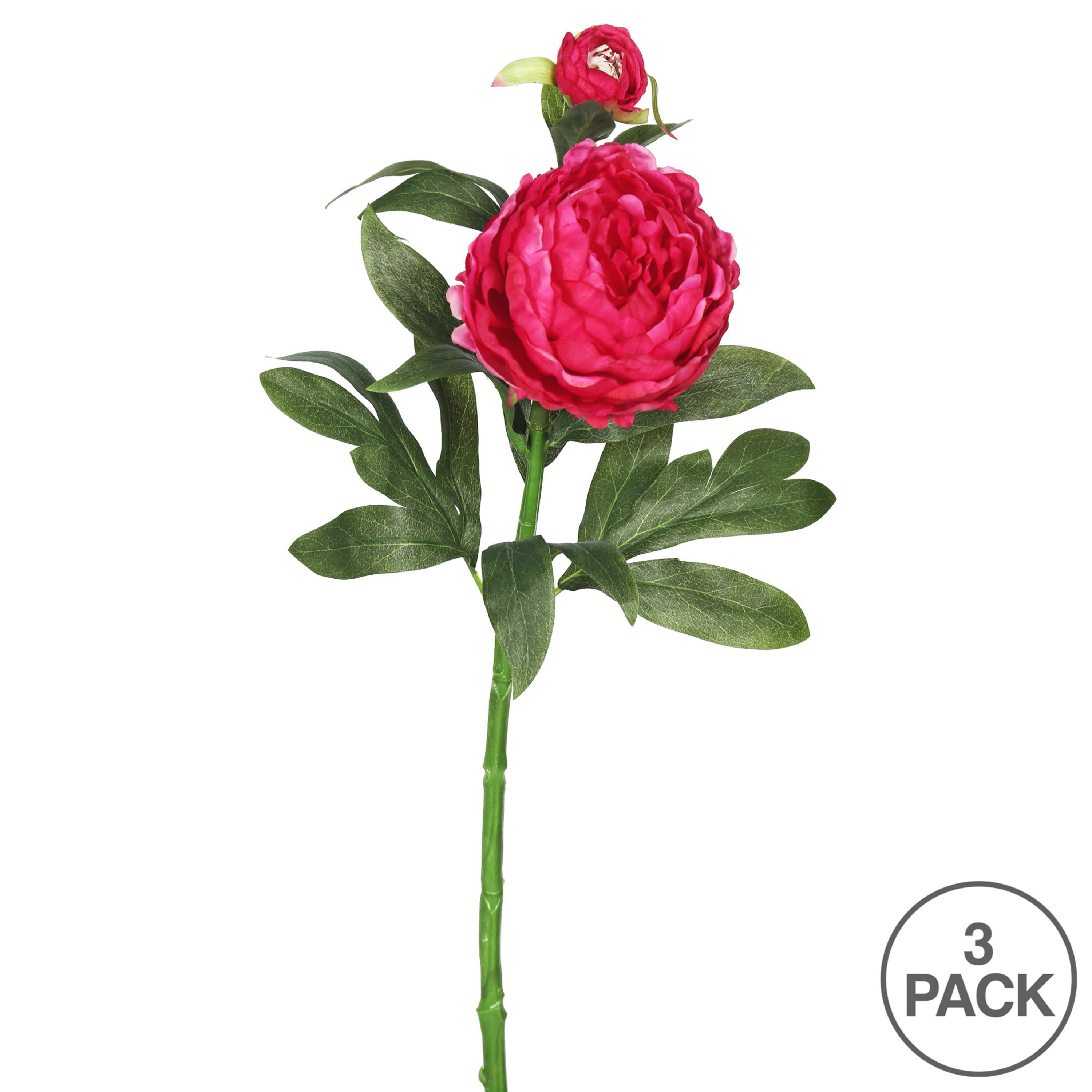 Hot Pink Peony Stem, 3ct.