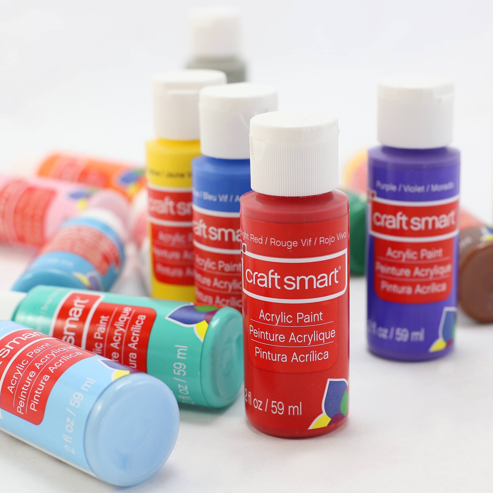 16 Colour Matte Acrylic Paint Value Pack by Craft Smart®