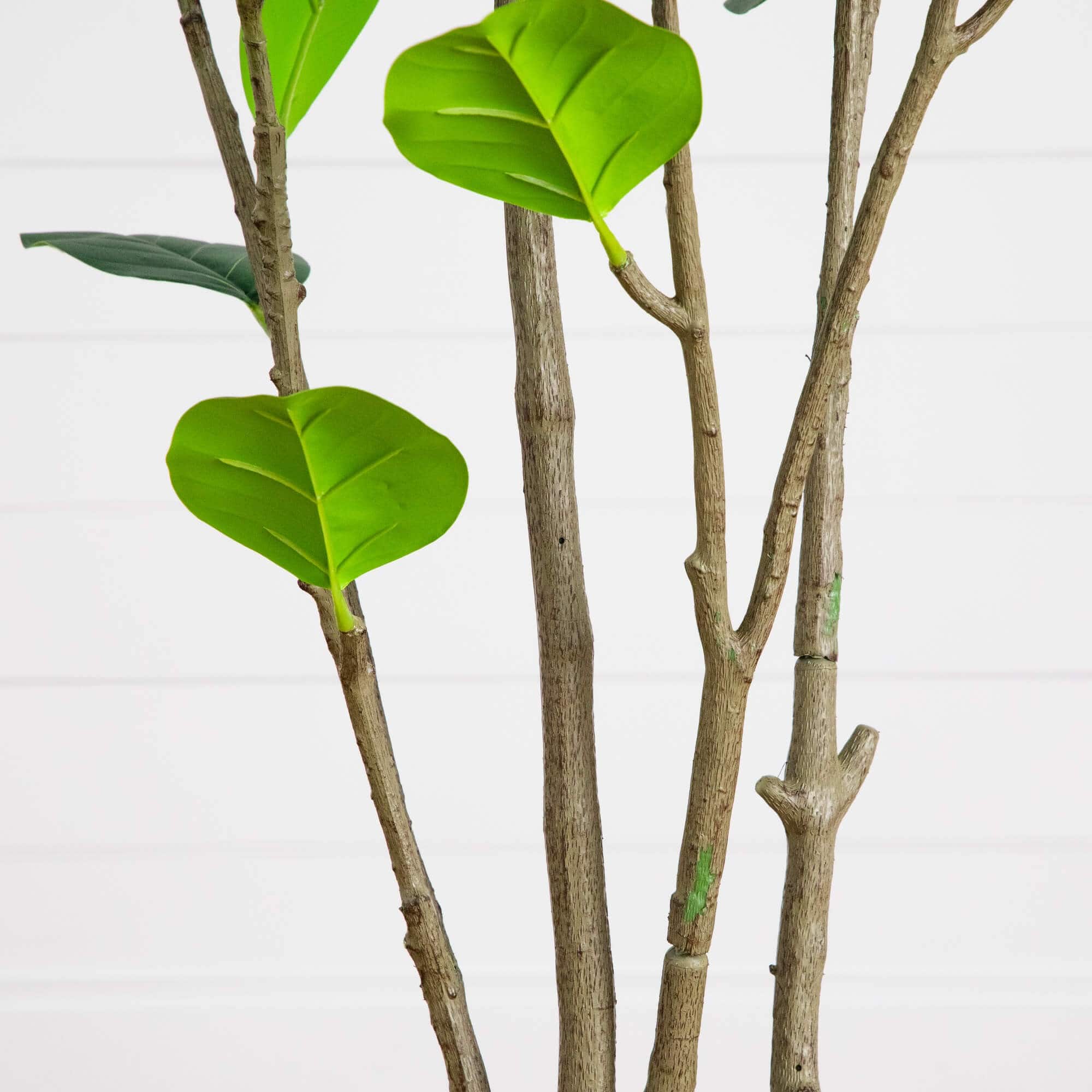 7ft. Artificial Minimalist Audrey Ficus Tree