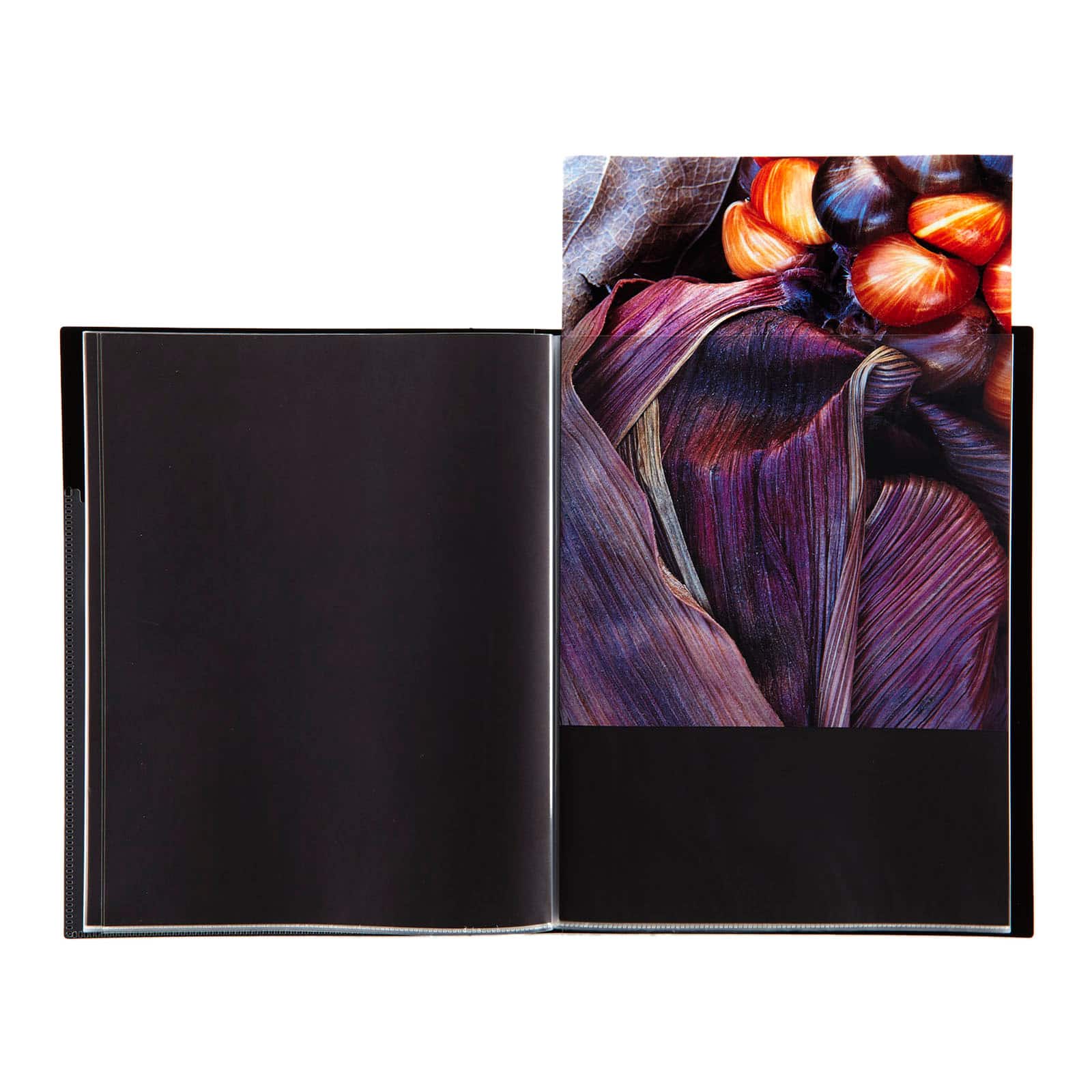 ITOYA® Art Profolio®