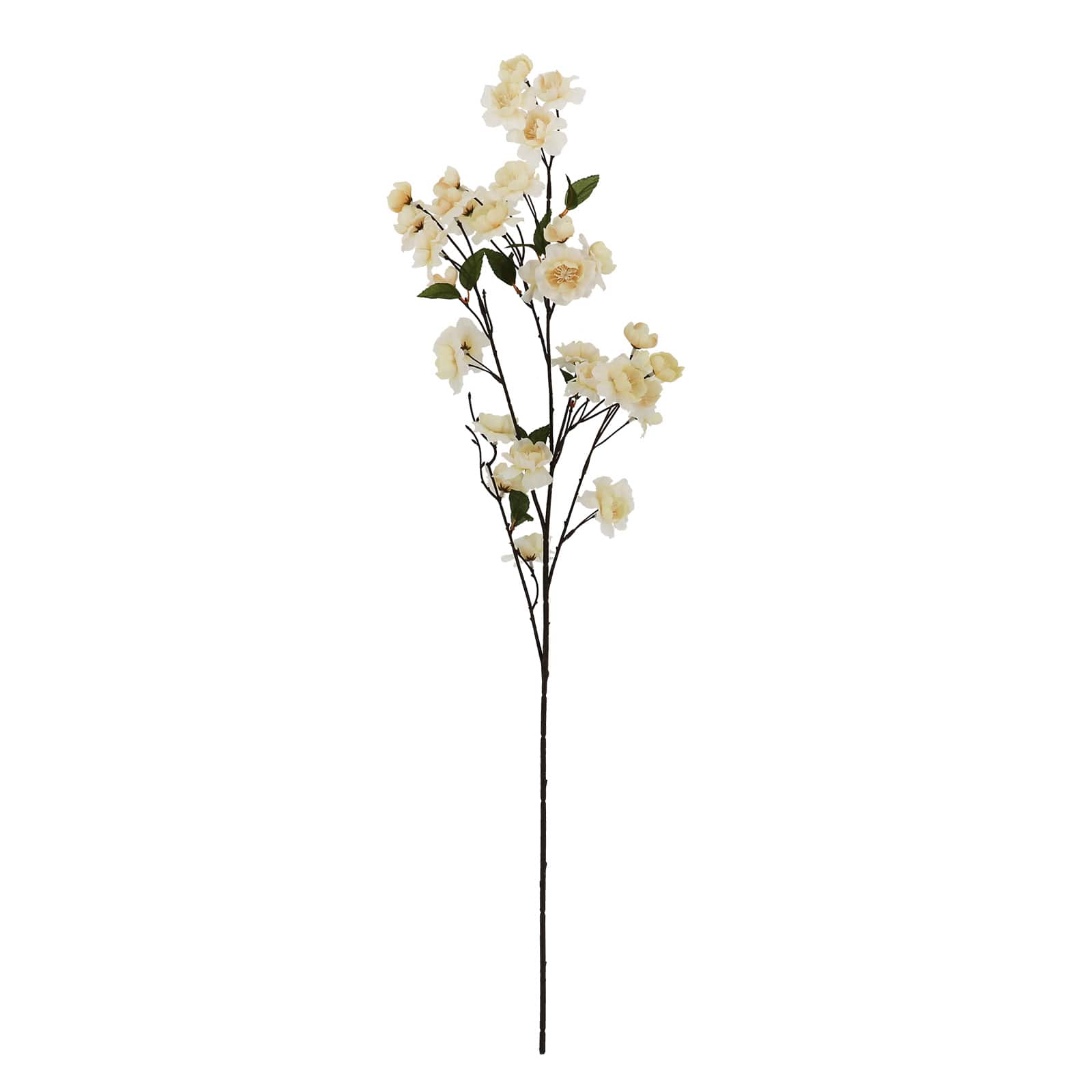 38" Cream Blossom Stem by Ashland®