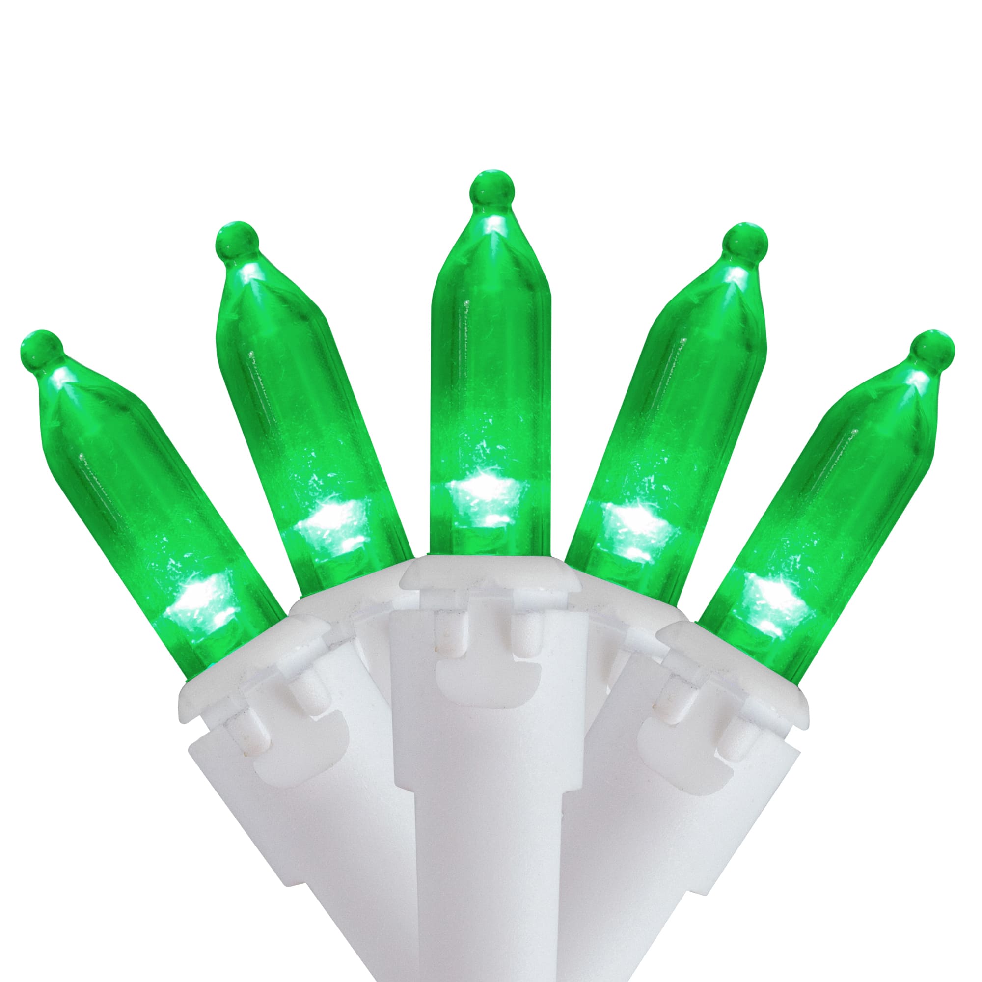 50ct. Mini LED Christmas Lights
