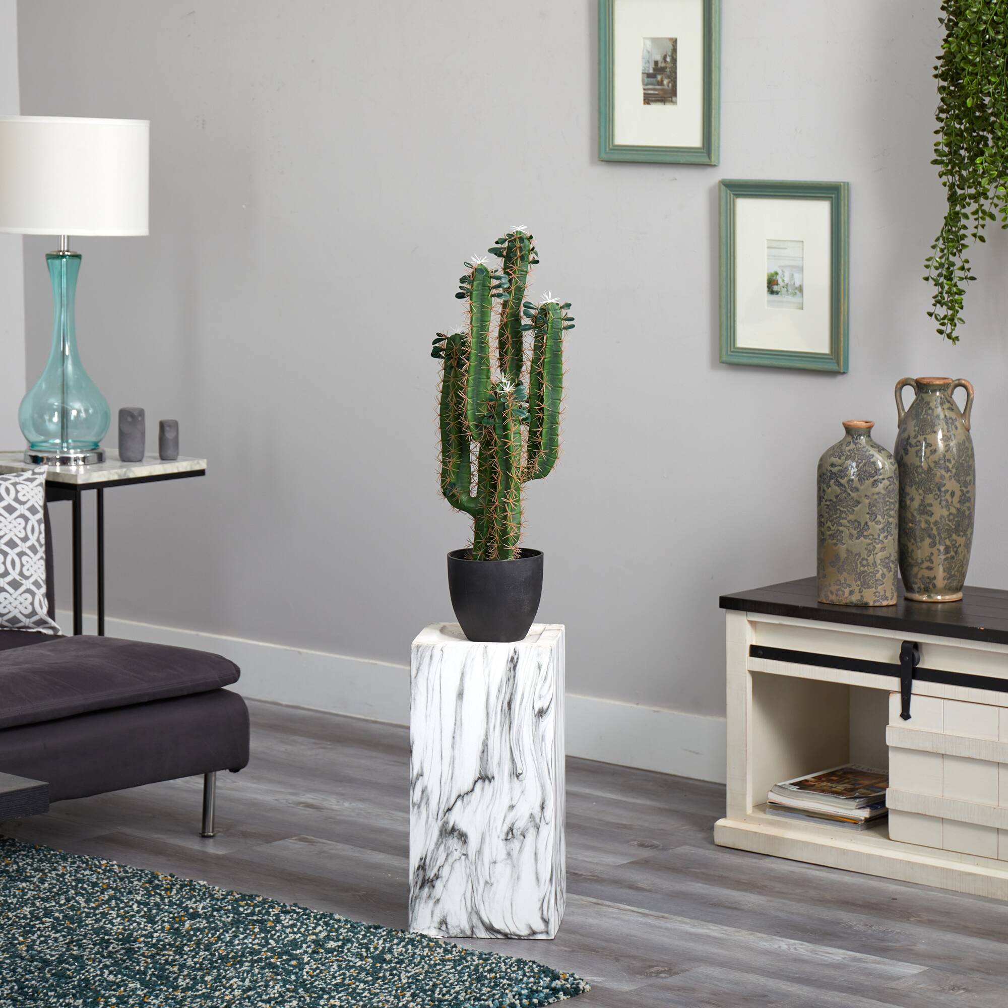 2.5’ Potted Cactus Plant 