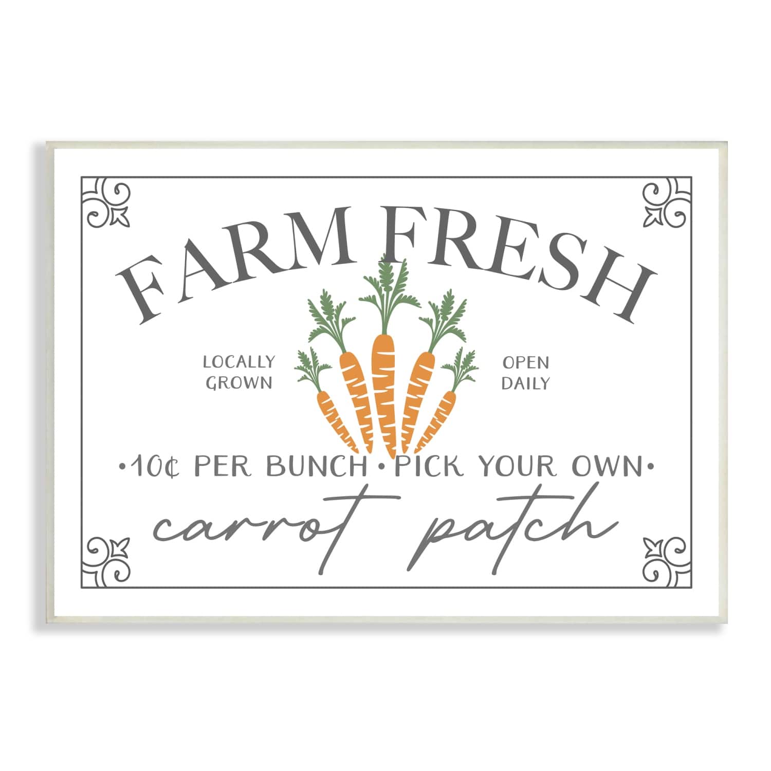 Stupell Industries Farm Fresh Carrot Patch Seasonal Springtime Vegetables Wall Plaque Art