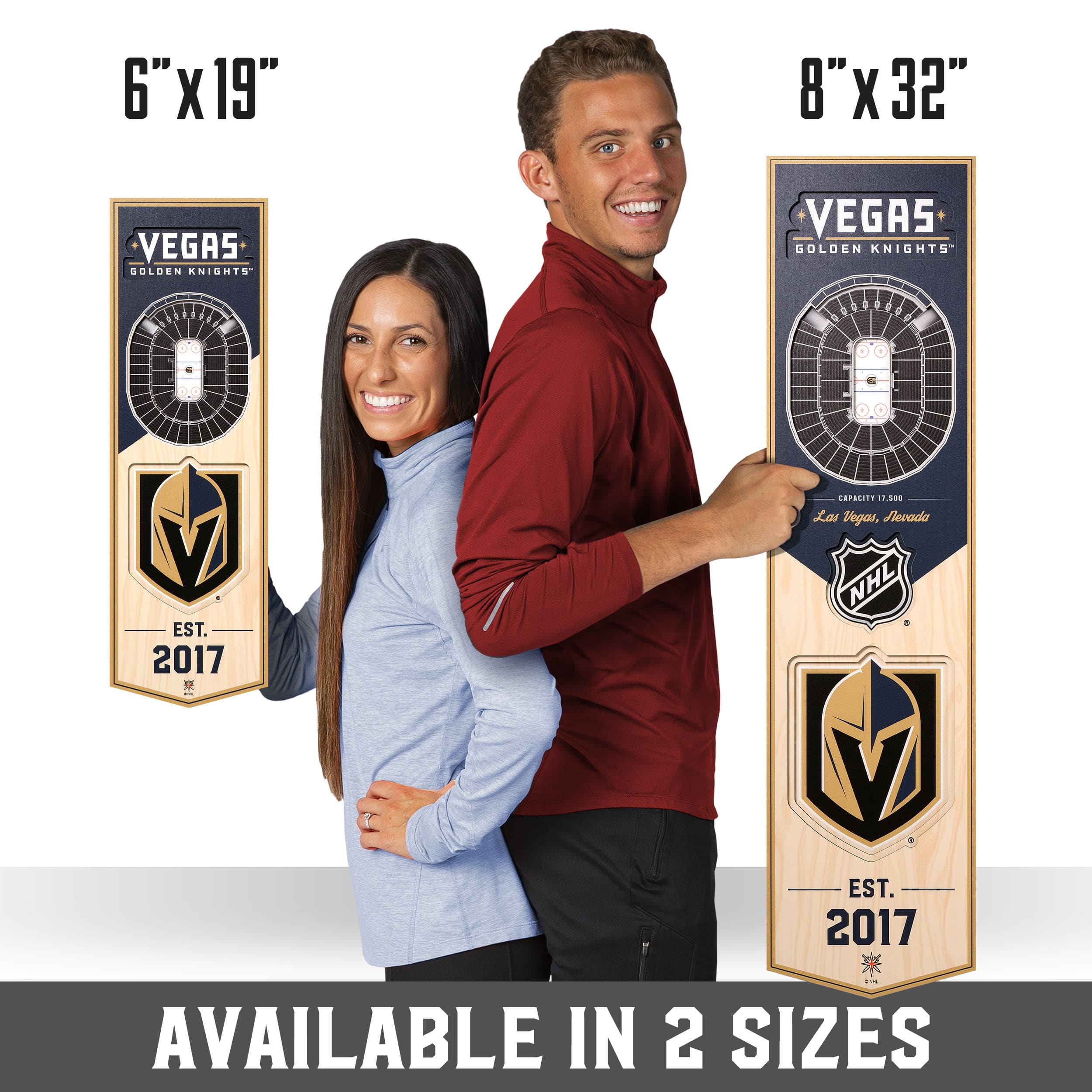 NHL 3D StadiumView Banner