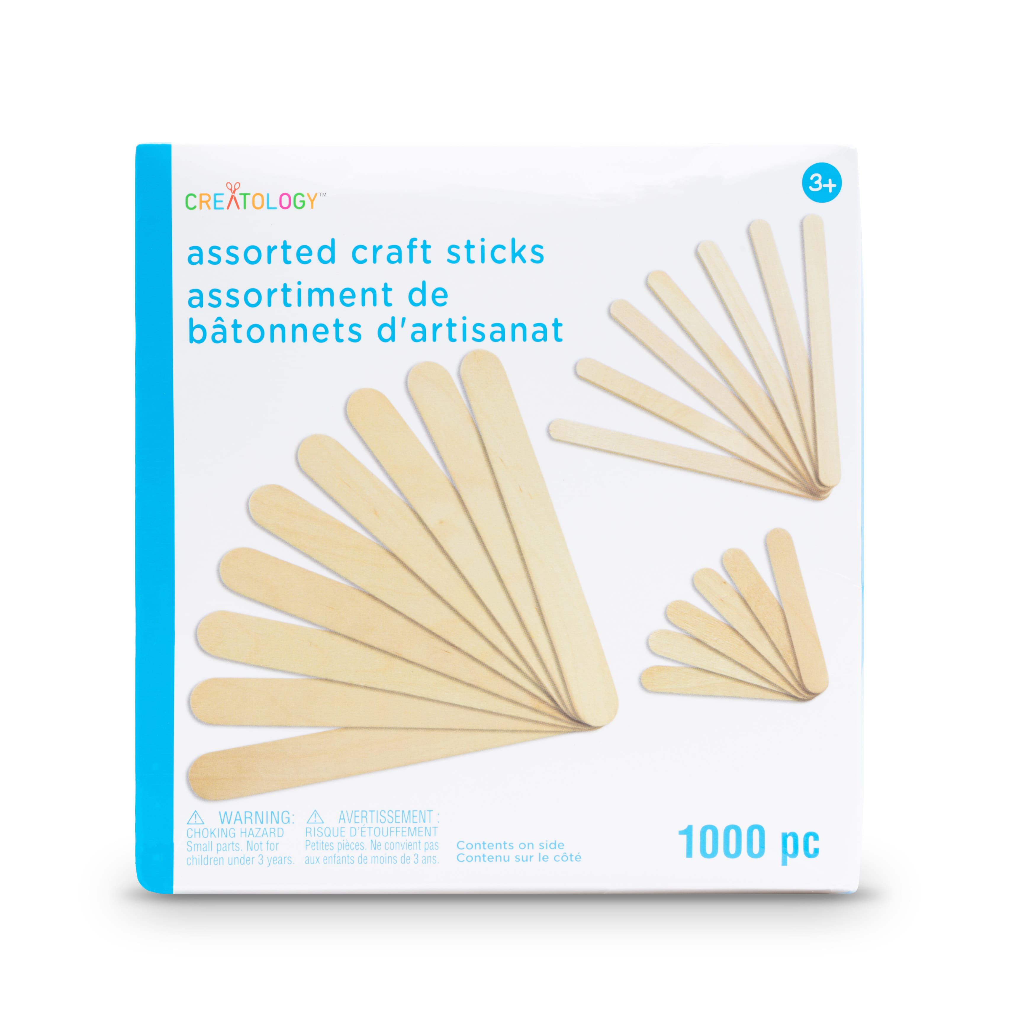 Assortiment de bâtonnets d'artisanat de Creatology, 1 000 unités