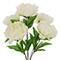 21" Peony Bush by Ashland®