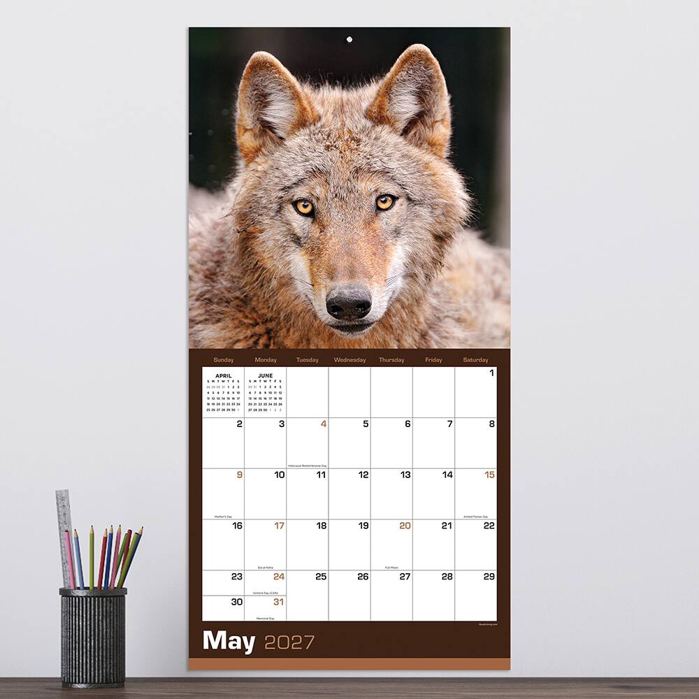 2027 Wolves Wall Calendar