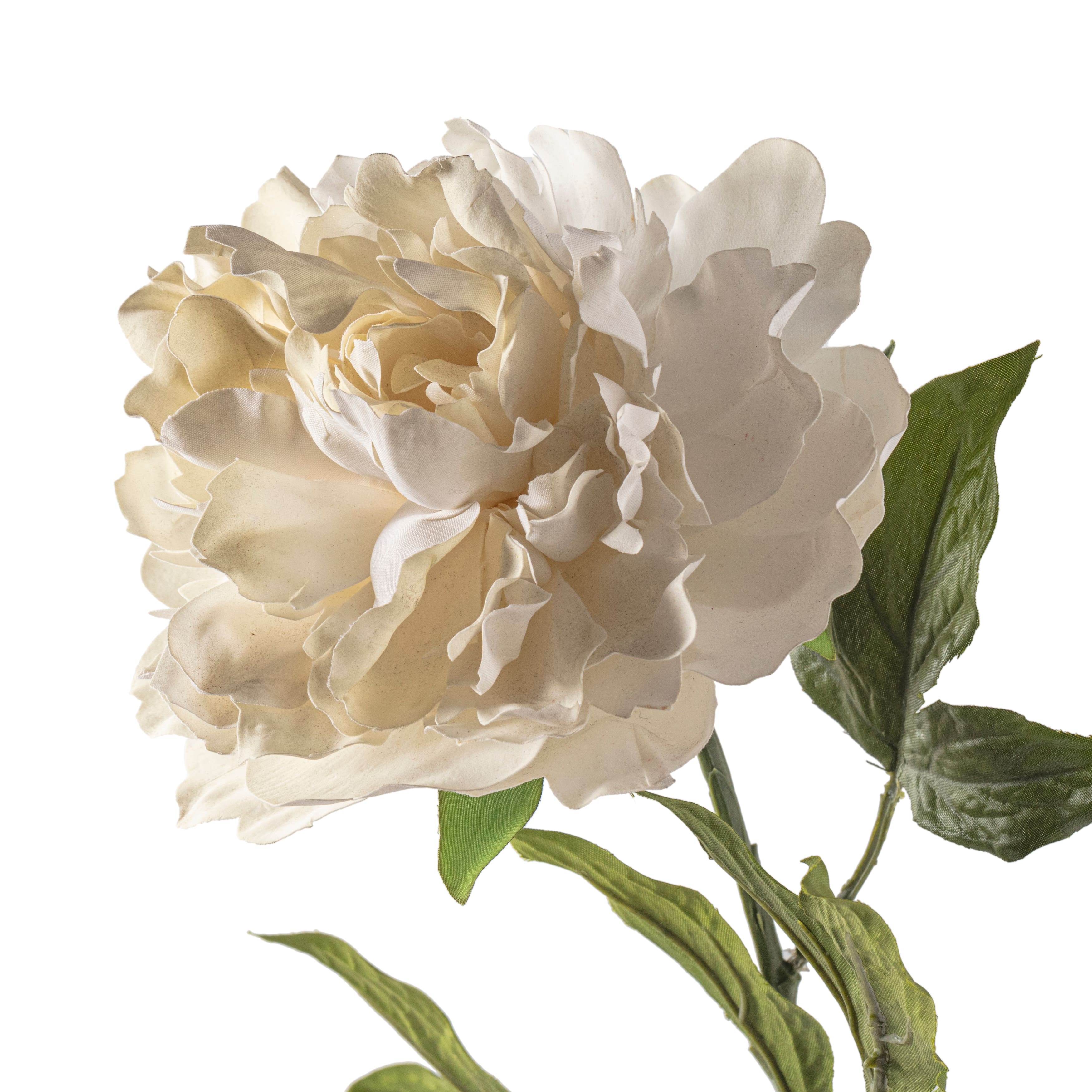 12 Pack: White Peony Spray by Ashland®