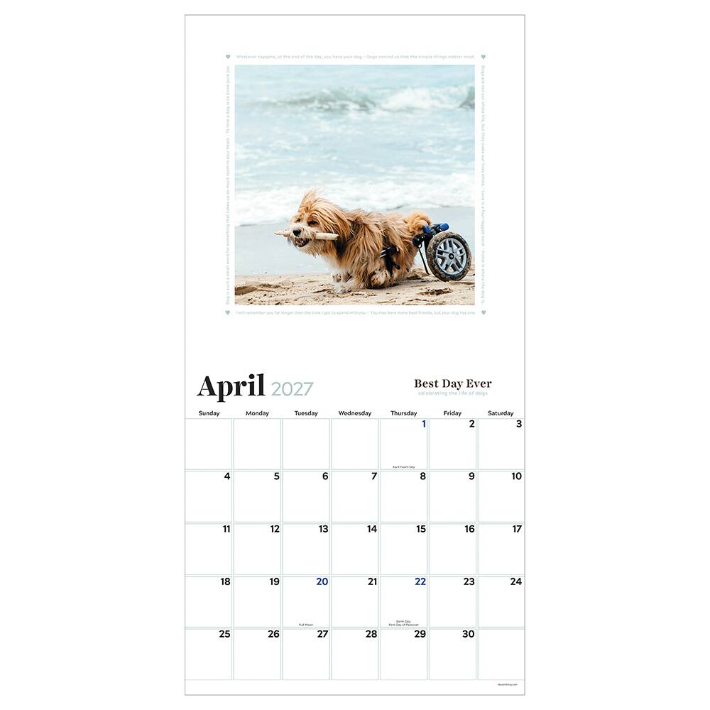 2027 Best Day Ever: Celebrating The Life of Dogs Wall Calendar