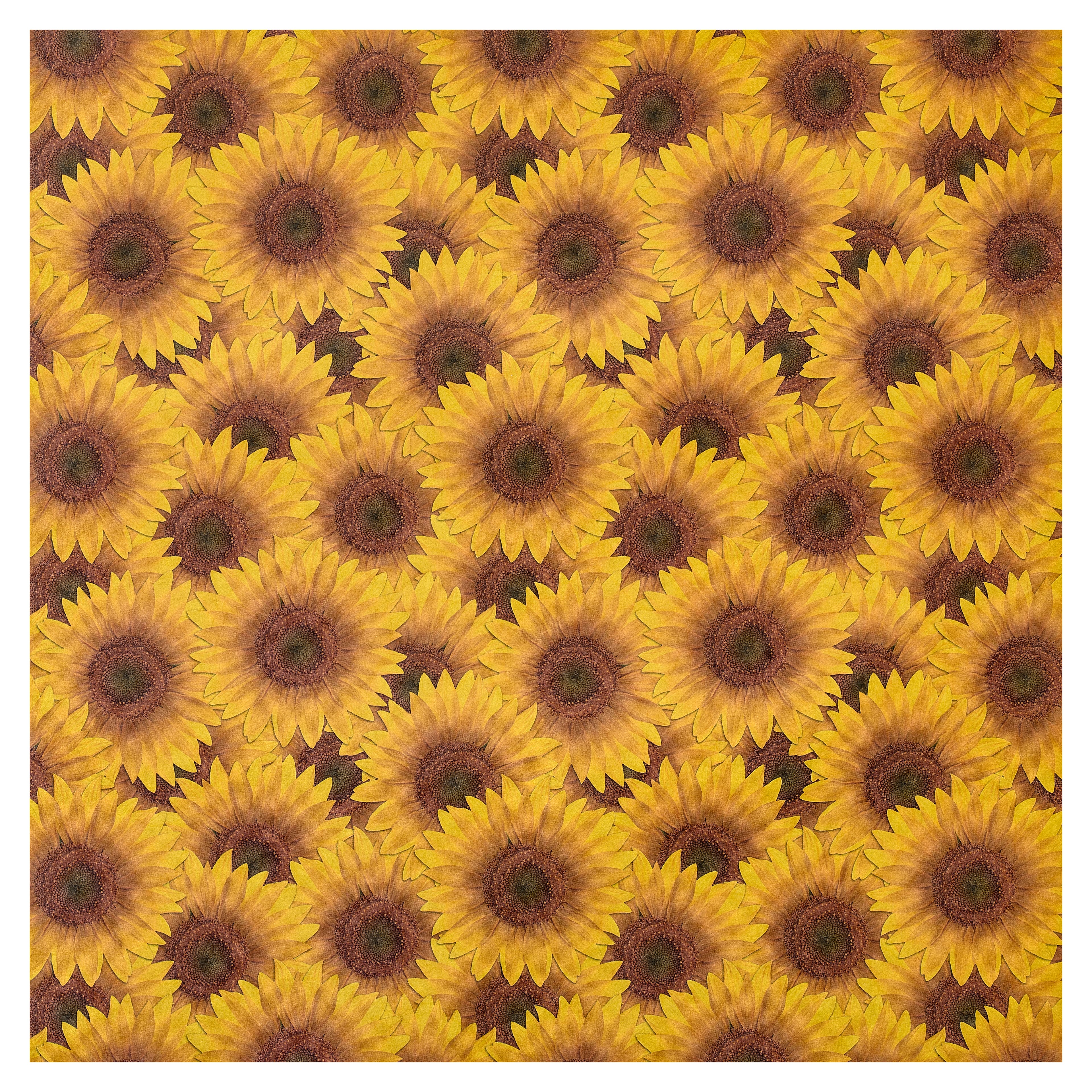 48 Pack: Sunflower Cardstock by Recollections™, 12" x 12"