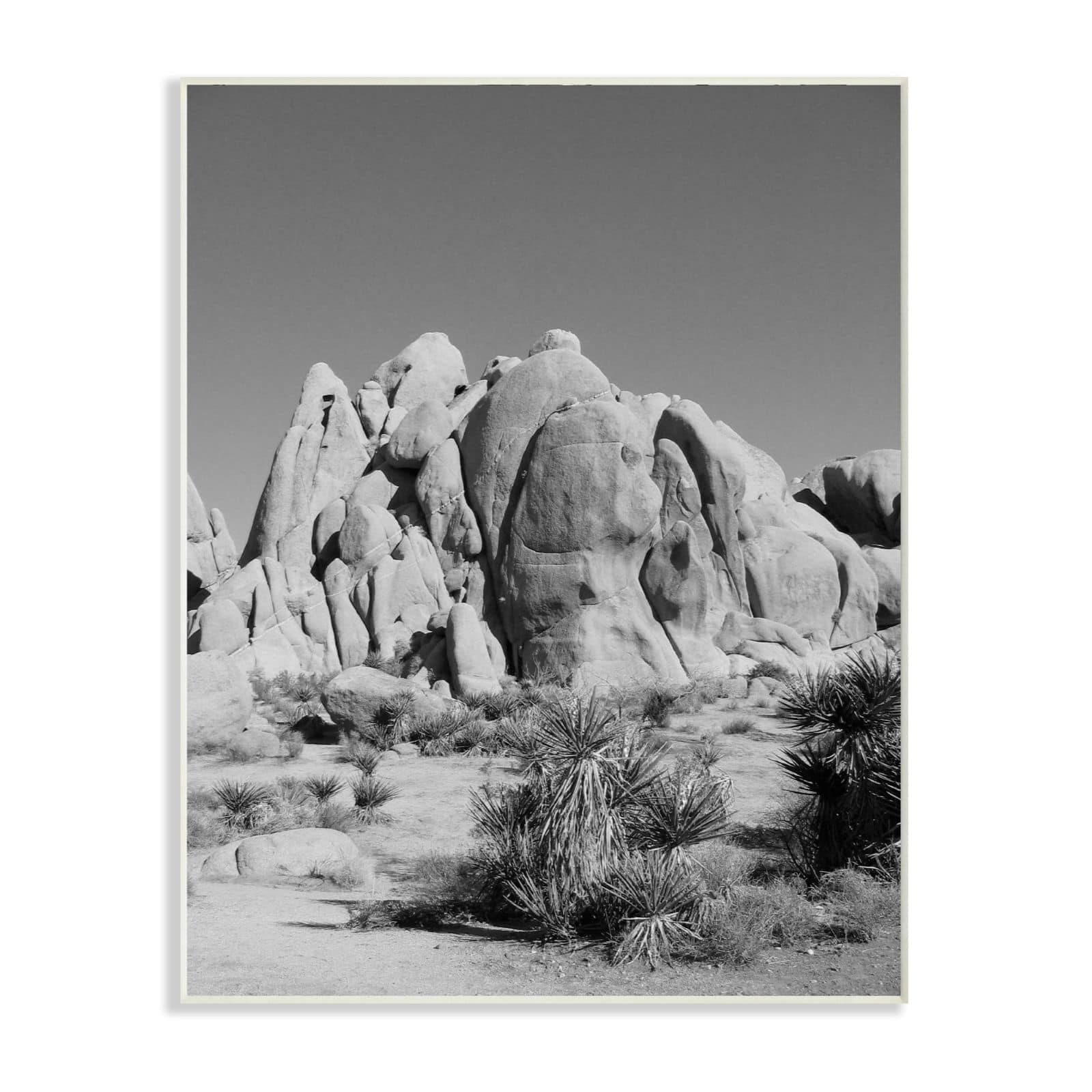 Stupell Industries Black & White Desert Landscape Photograph Wall Plaque