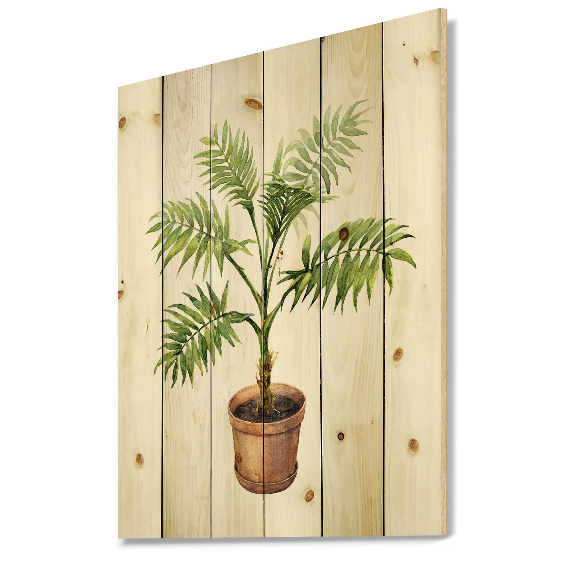 Designart - Palm In Clay Flowerpot - Traditional Print on Natural Pine Wood
