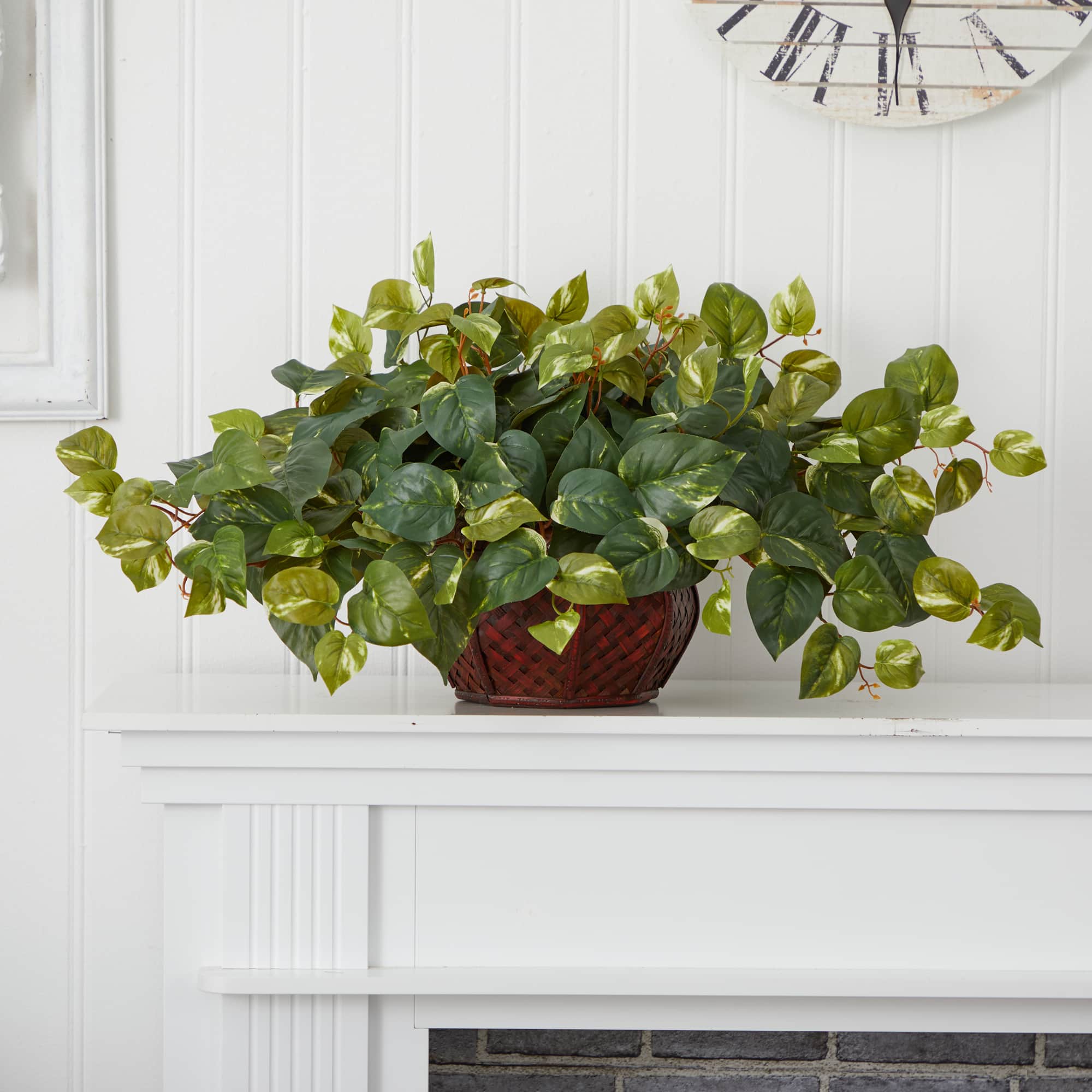 15" Potted Pothos Plant
