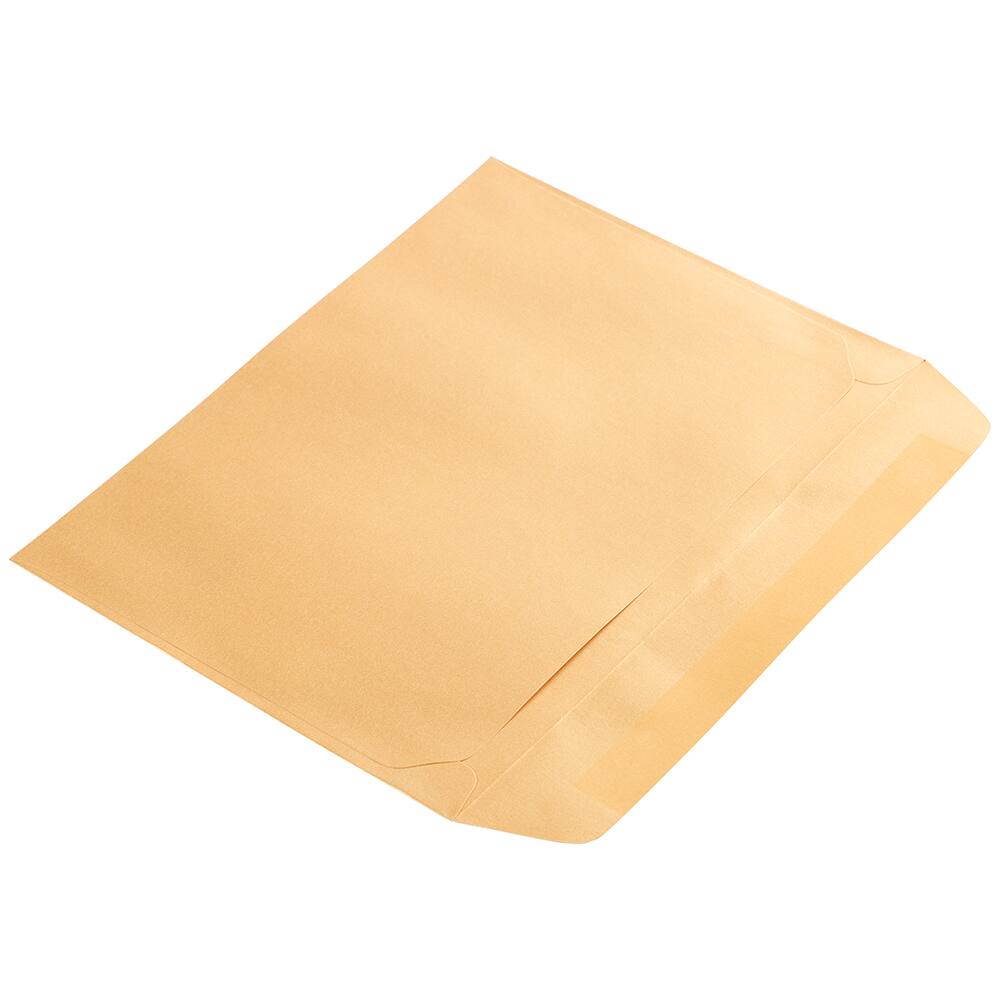 JAM Paper Gold Stardream 9" x 12" Open End Envelopes