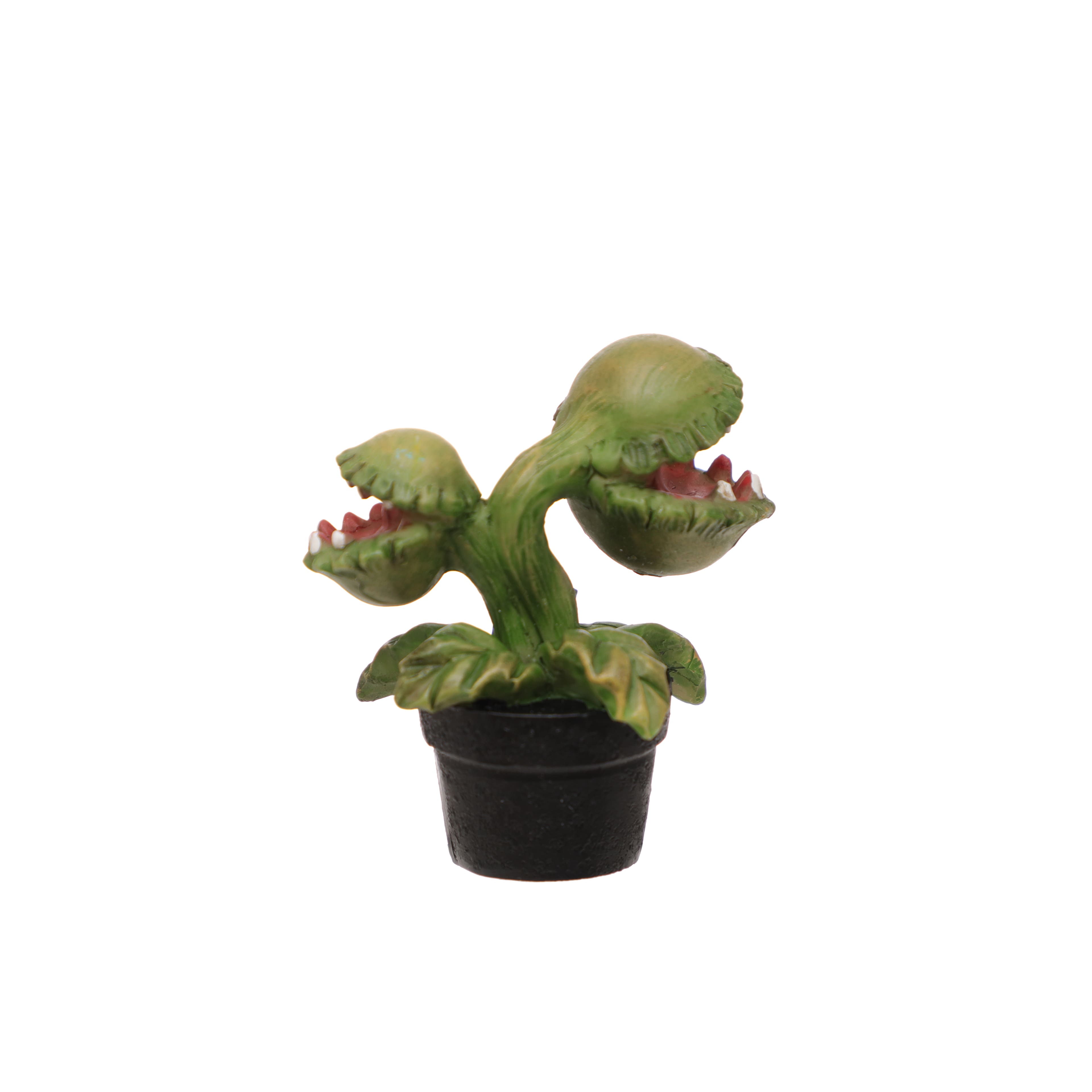 Mini Venus Flytrap by Ashland®