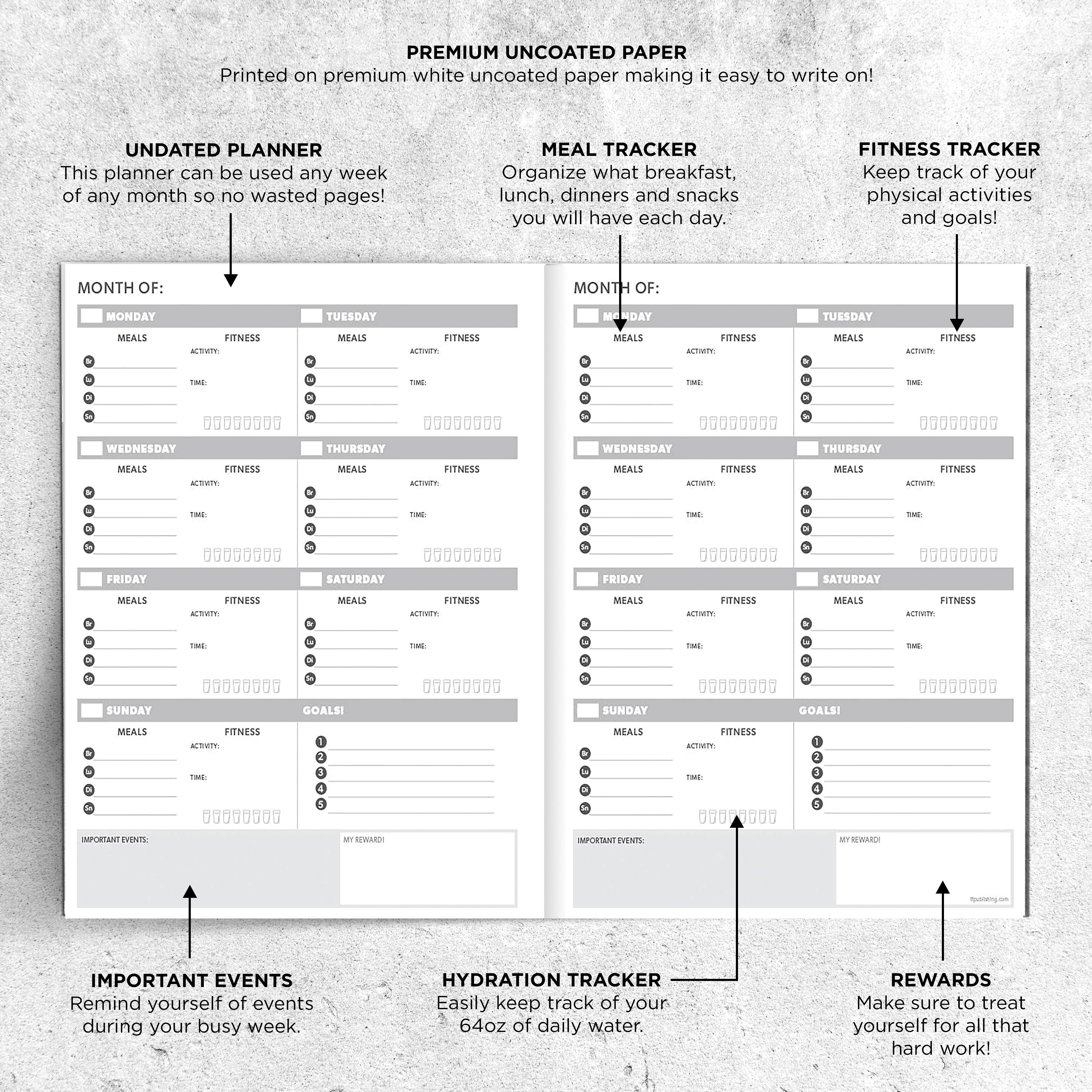 TF Publishing Large Undated Wellness Planner
