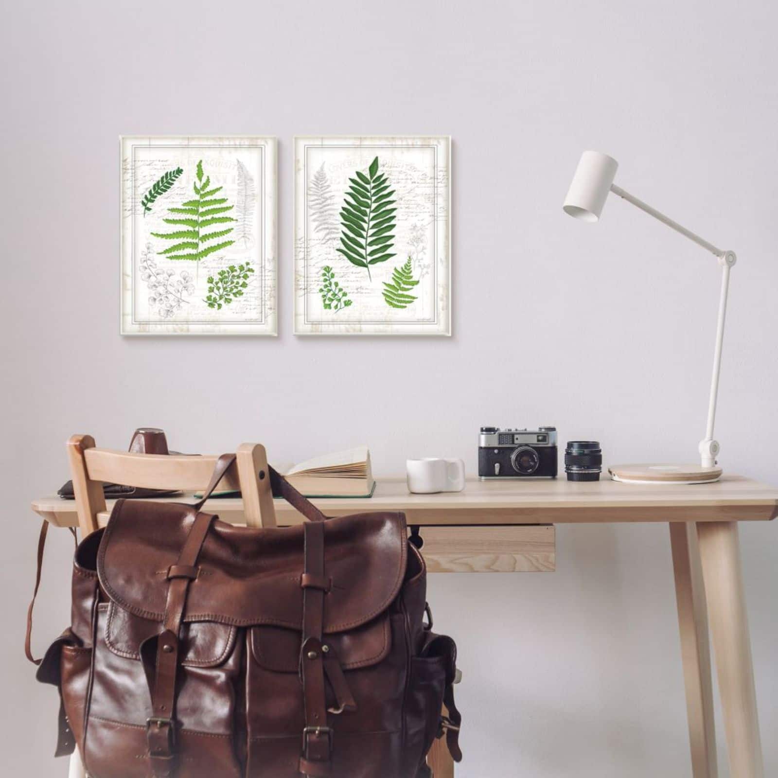 Stupell Industries Antique Fern Study with Script Forest Greenery Framed Wall Art Set
