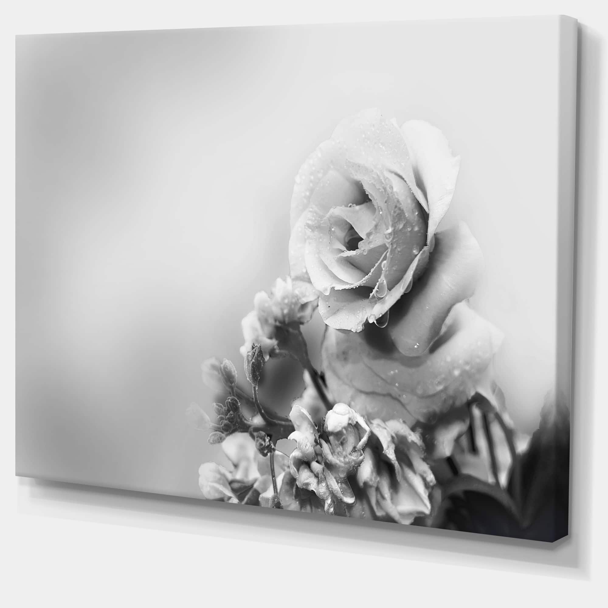 Designart - Black and White Rose in Spring