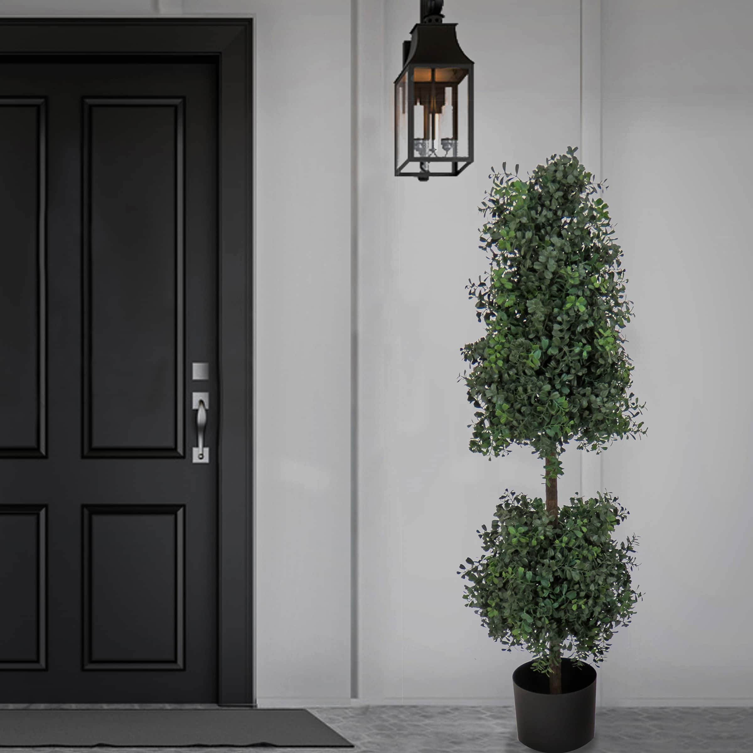 4ft. Boxwood Cone & Ball Topiary In Nursery Pot