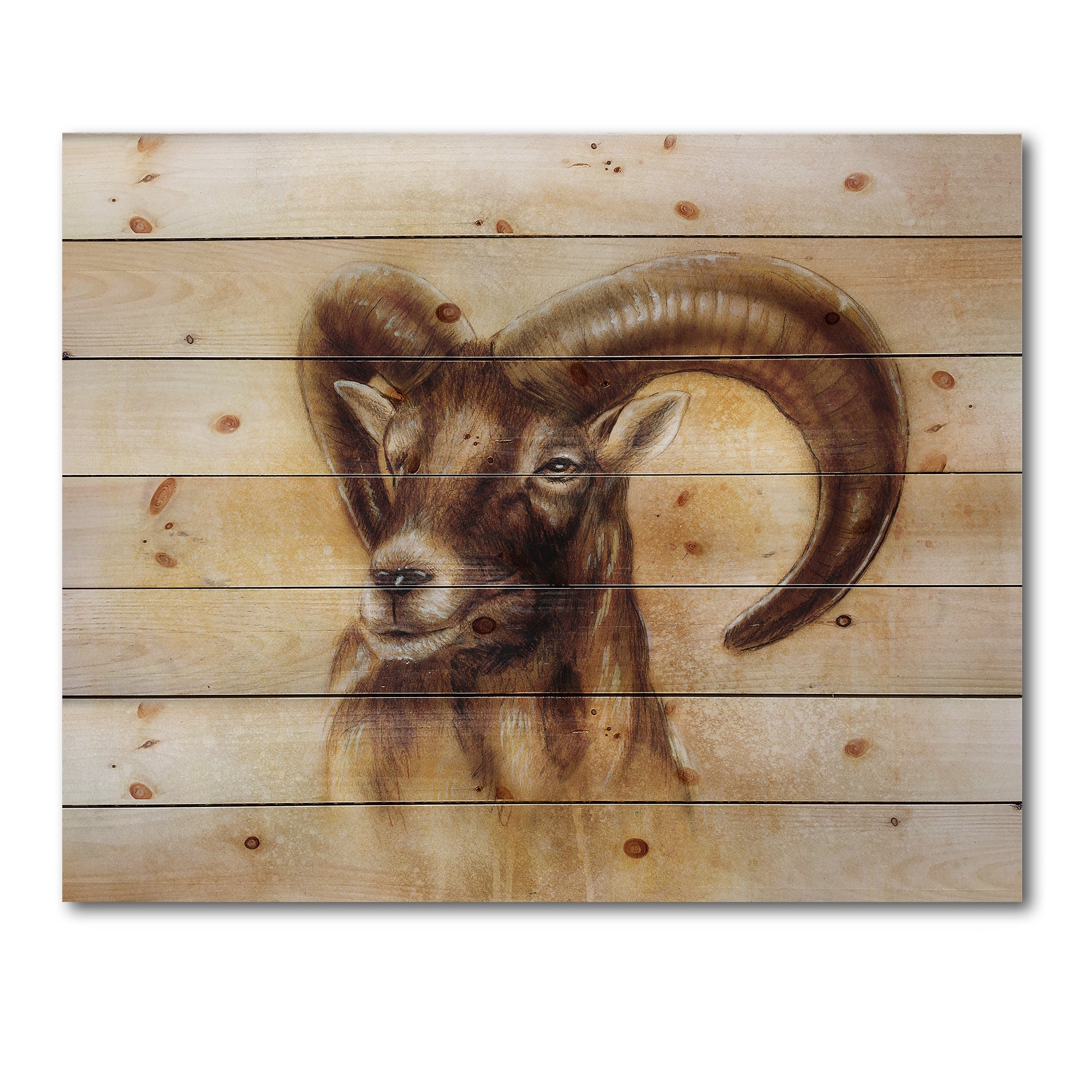 Designart - Portrait of Wild Ram With Mighty Horns I - Modern Print on Natural Pine Wood
