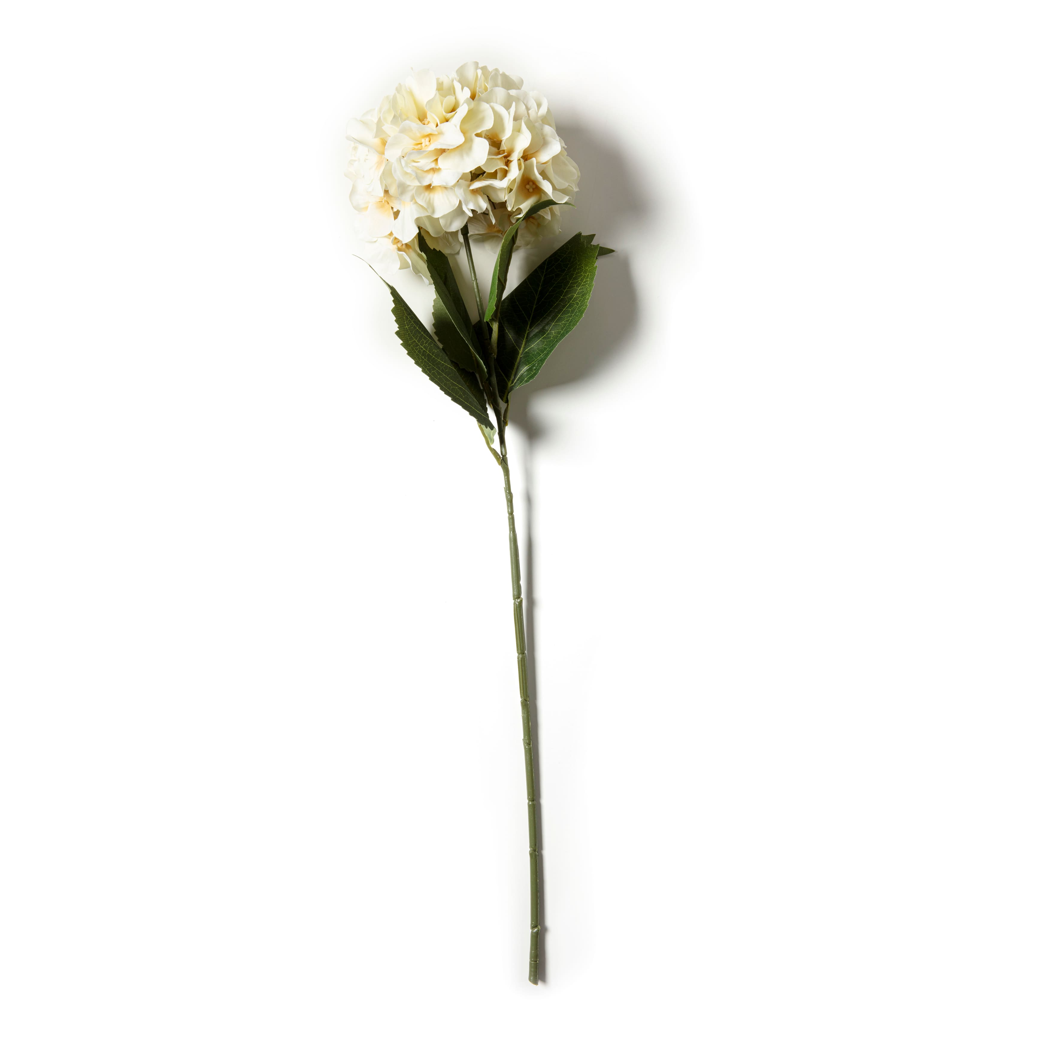 12 Pack: Cream Hydrangea Stem by Ashland®