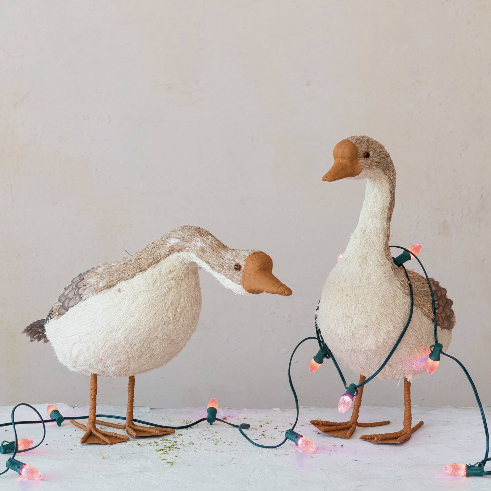 Hello Honey® 15" Long Dried Grass & Foam Goose
