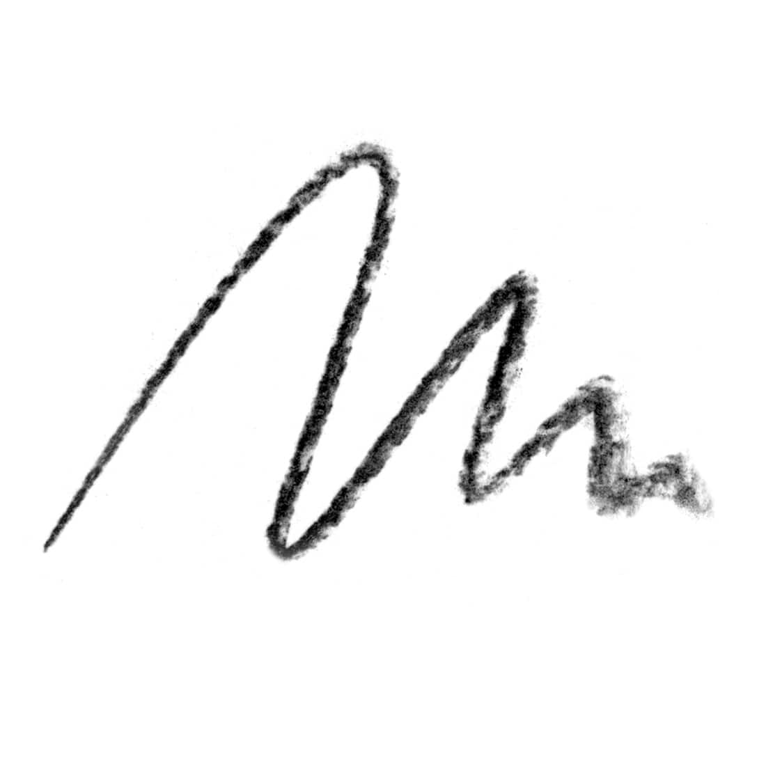 Assortiment de fusains de saule d'Artist’s Loft