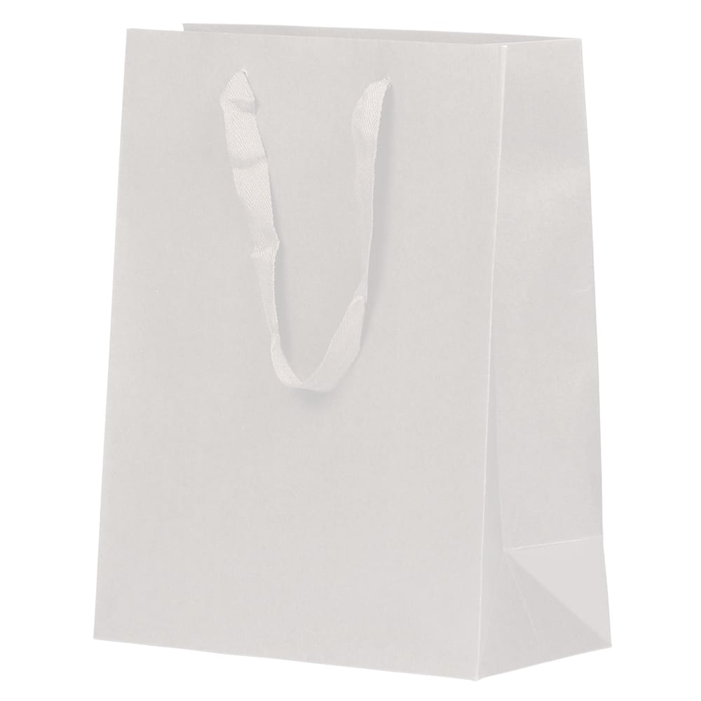 JAM Paper Large White Matte Heavy Duty Kraft Gift Bags, 10ct.