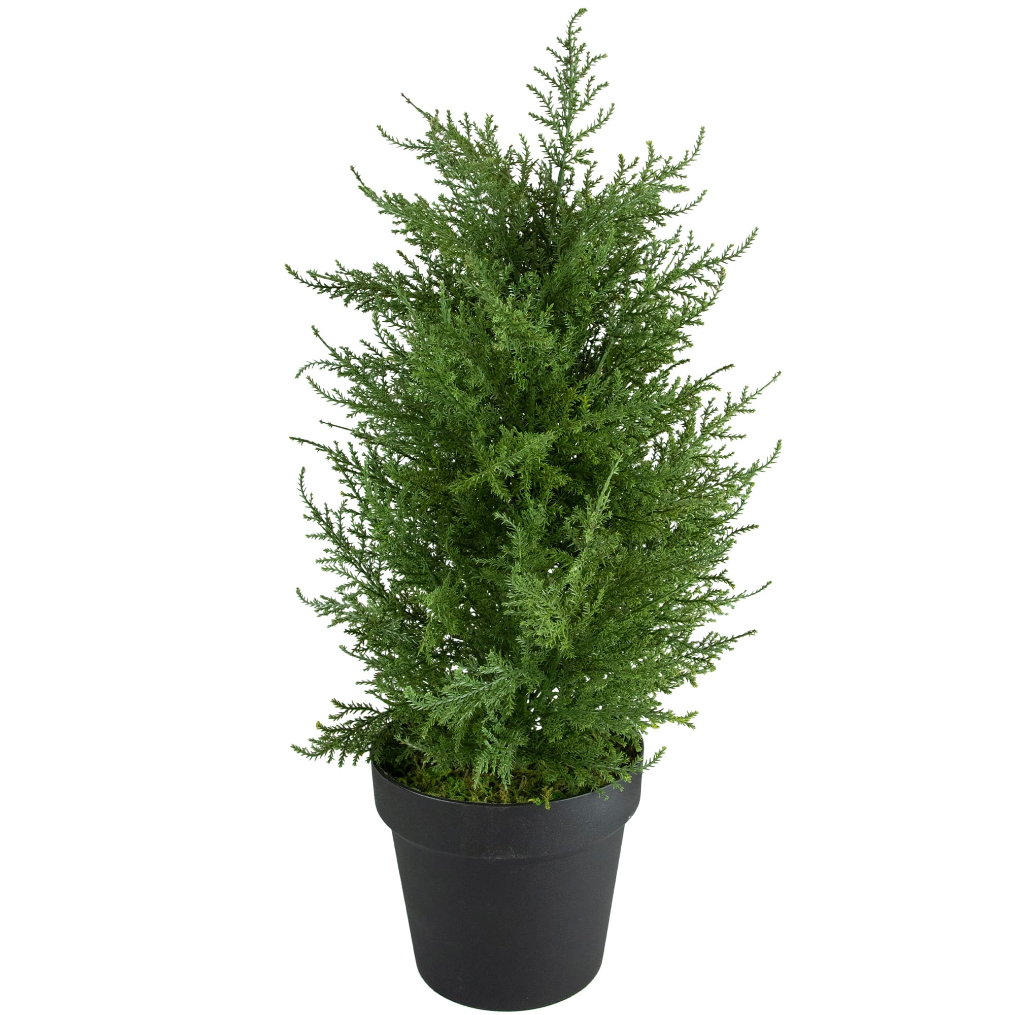2Ft Unlit Artificial Cedar Pine Petite Arborvitae Tree in Round Pot By Northlight in Green | 24" x 12" | Michaels®