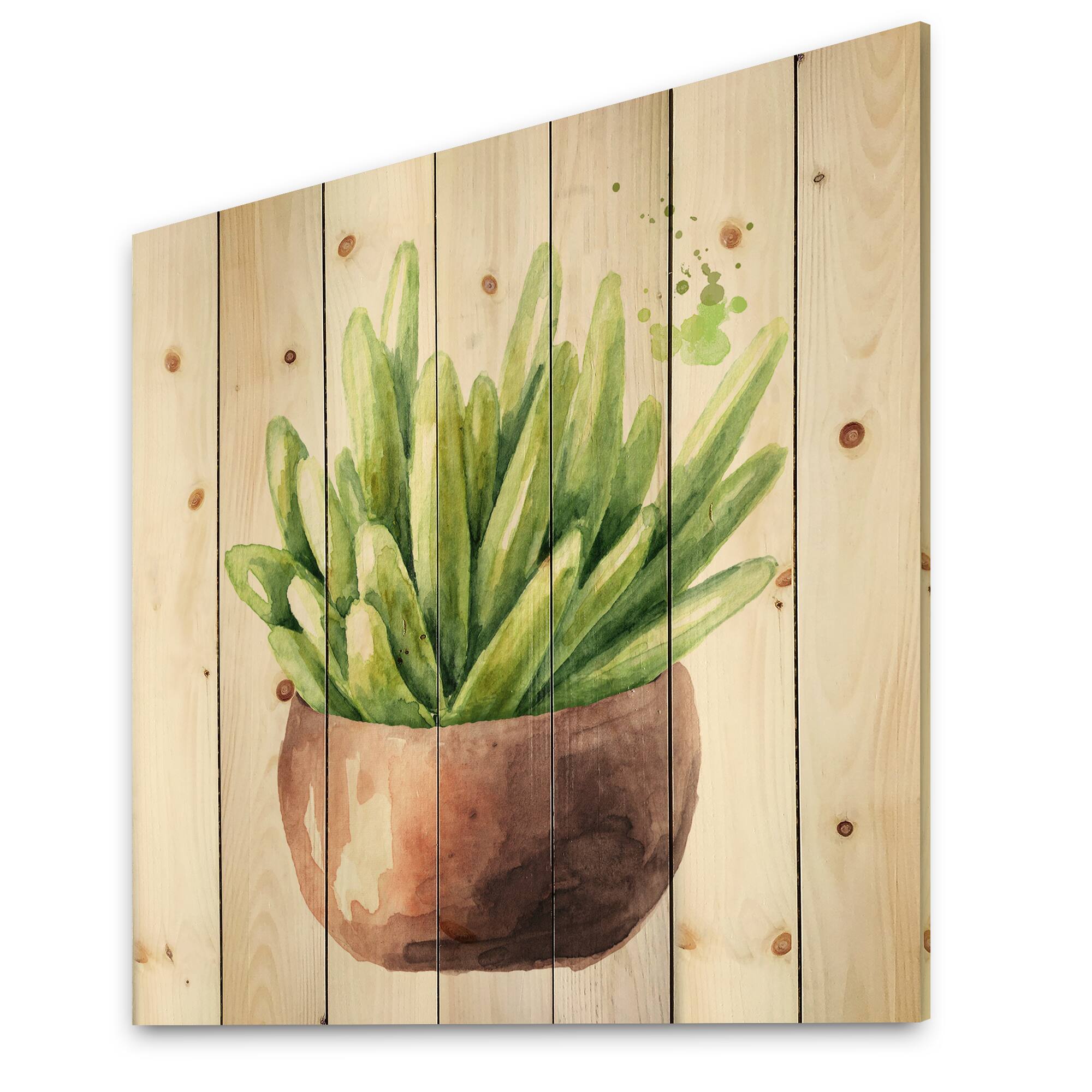 Designart - Succulent Flower In Terracotta Pot I - Traditional Print on Natural Pine Wood