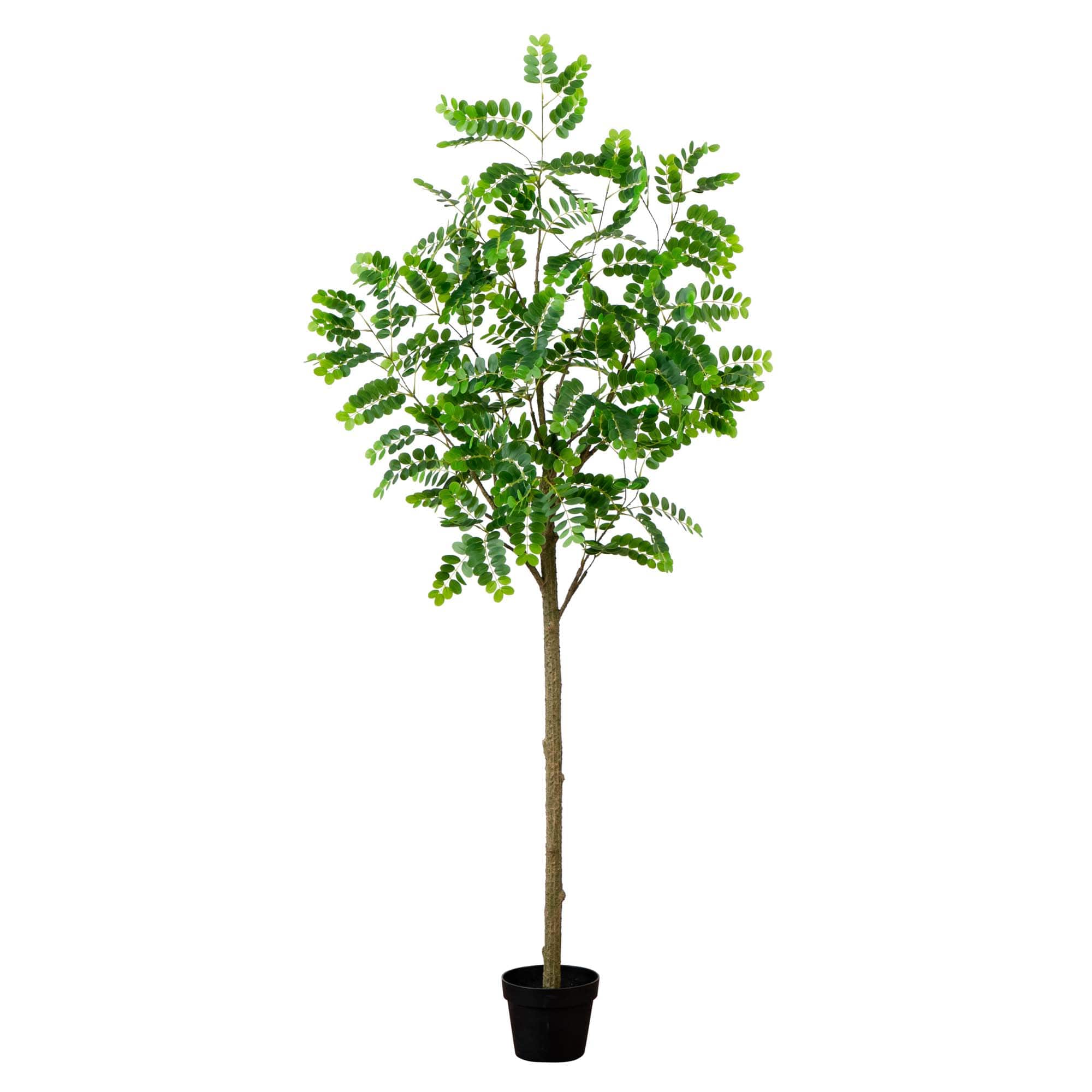 6ft. Potted Green Artificial Greco Citrus Tree with Real Touch Leaves