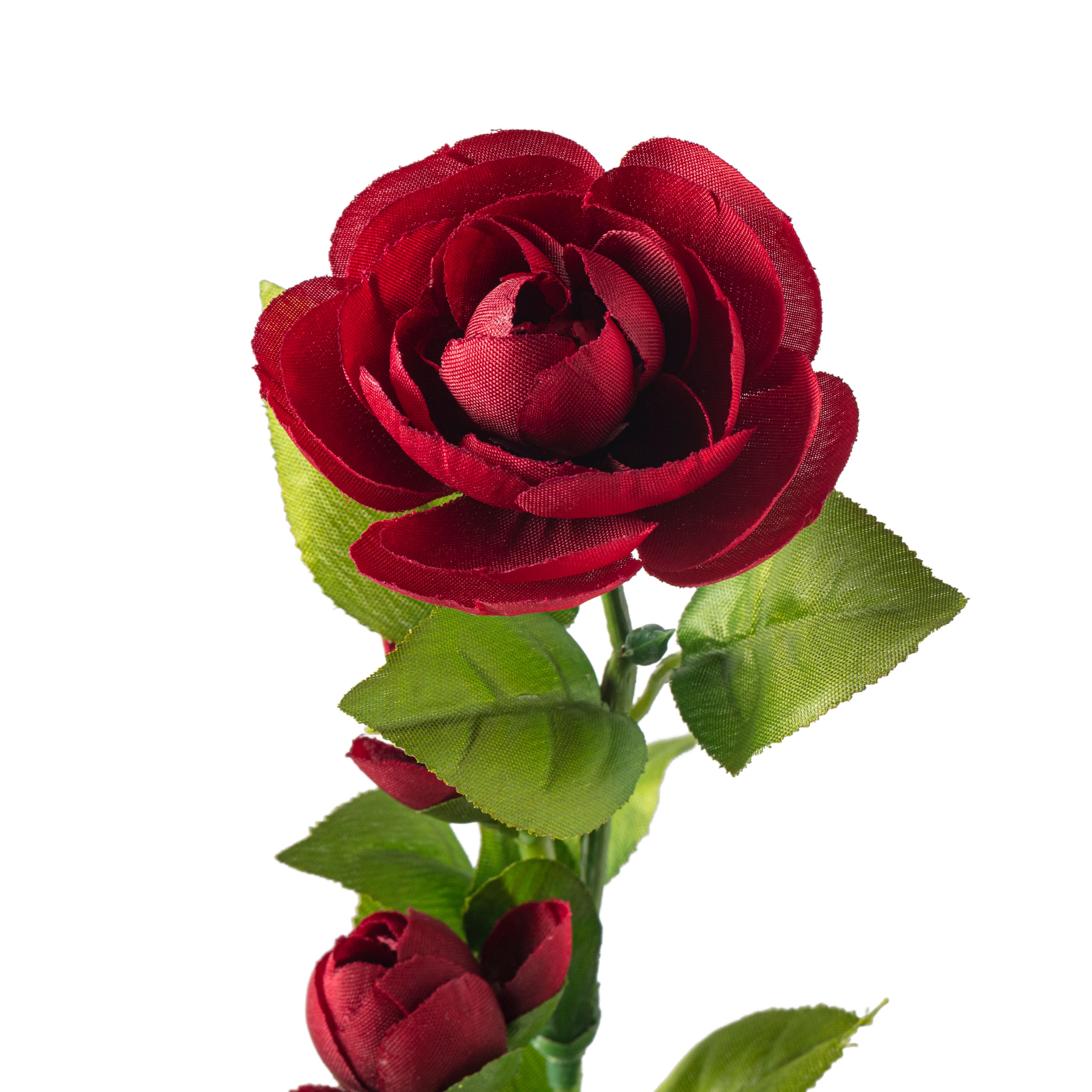 Burgundy Ranunculus Spray by Ashland®