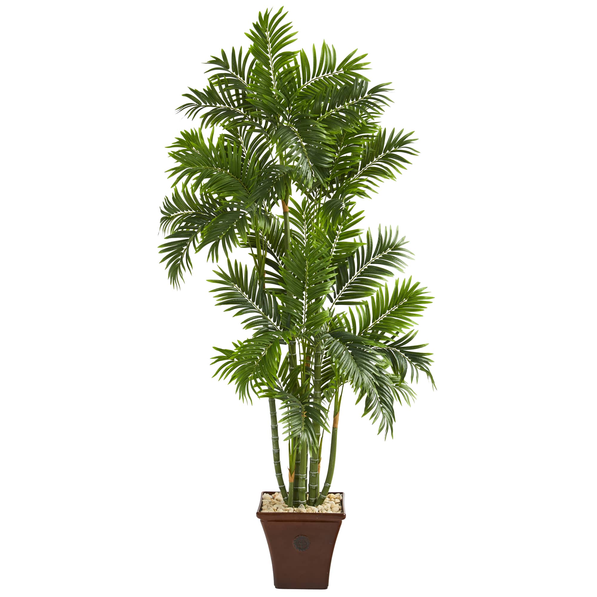 6ft. Areca Palm Tree in Brown Planter