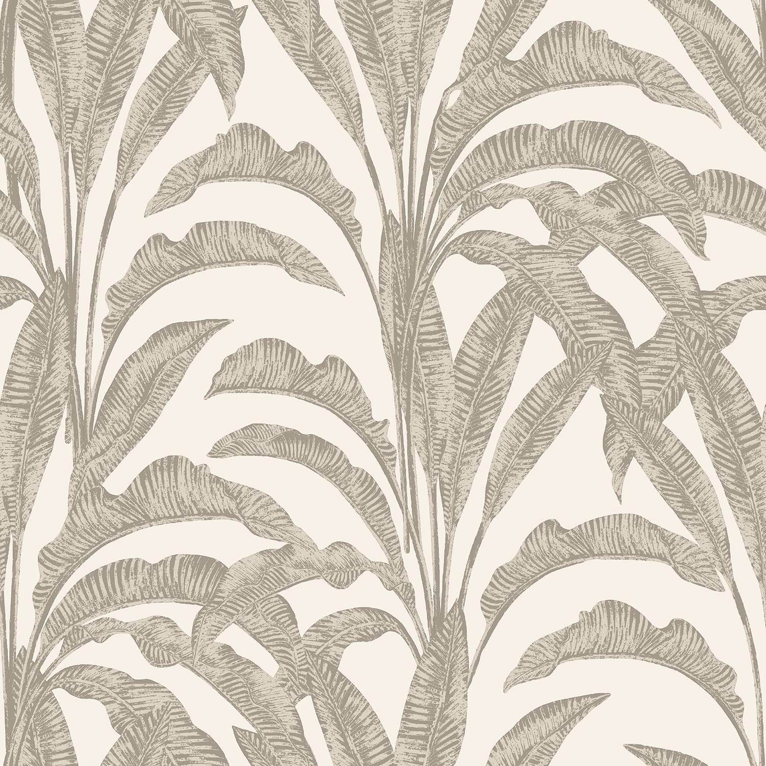 Designs Direct Luxe Tropical Palm Wallpaper