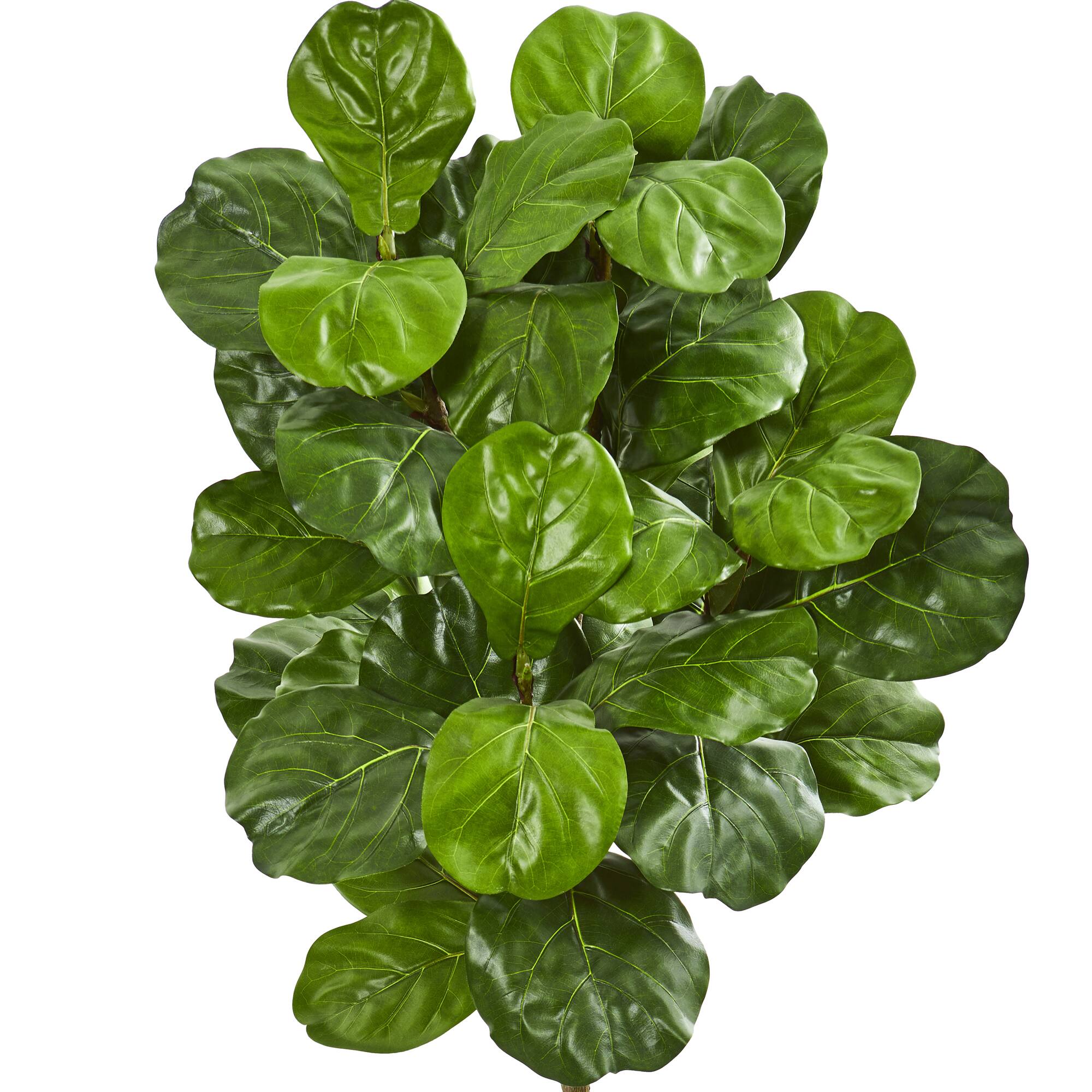 5ft. Fiddle Leaf Fig Tree with Decorative Planter