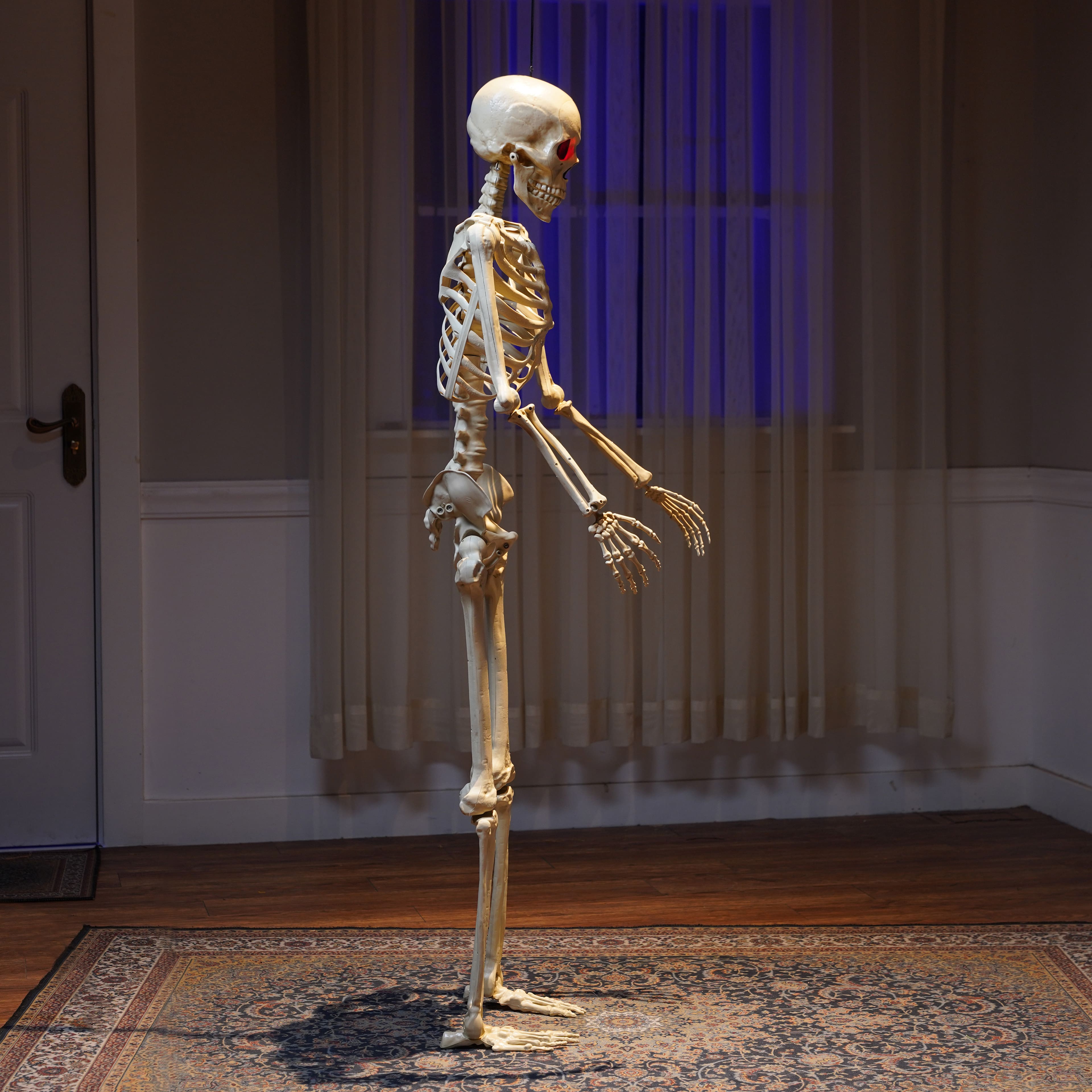 5ft. Light Up Eyes Skeleton by Ashland®