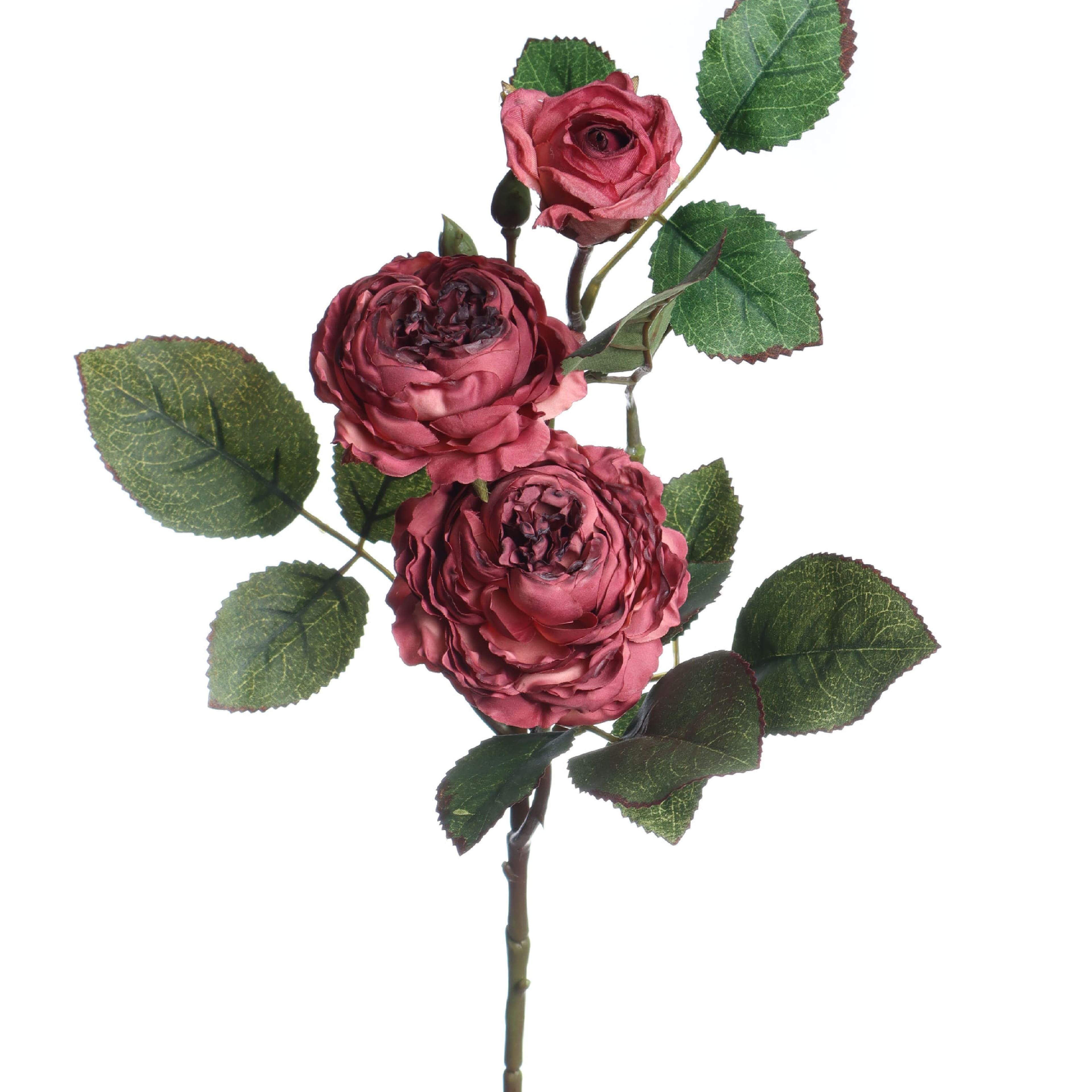 27" Burgundy Ranunculus Stem by Ashland®