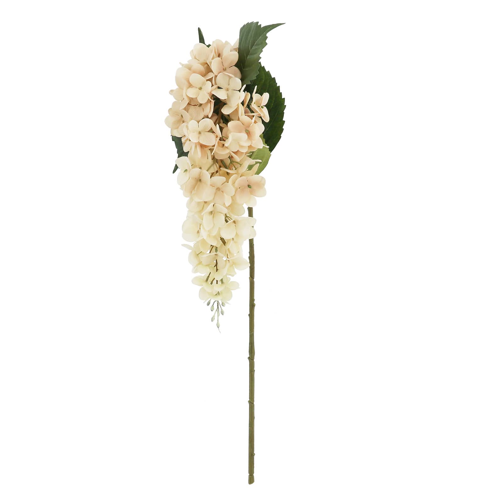 27" Toasted Wisteria Stem by Ashland®
