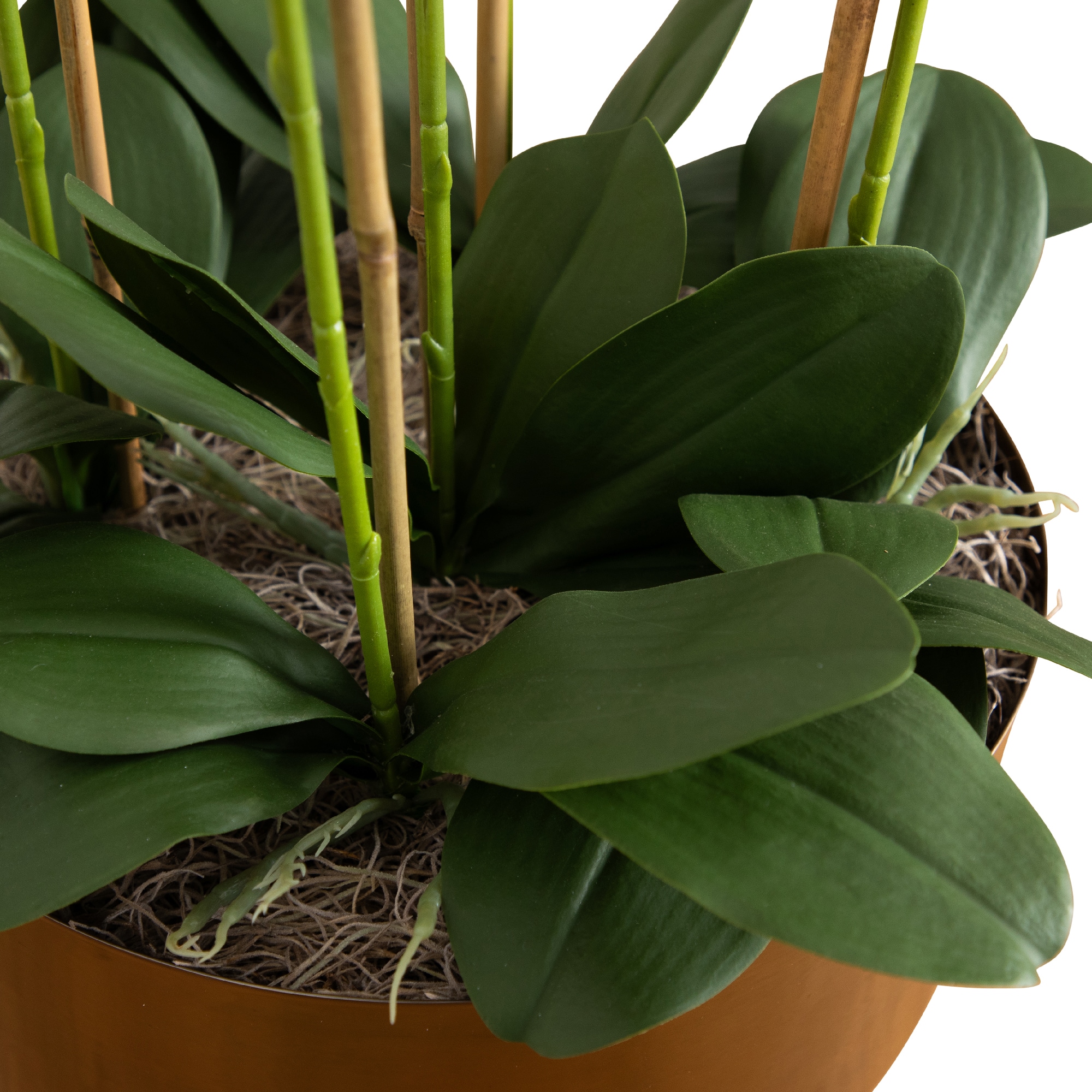 4ft. White Orchid Arrangement in Brass Metal Planter with Stand
